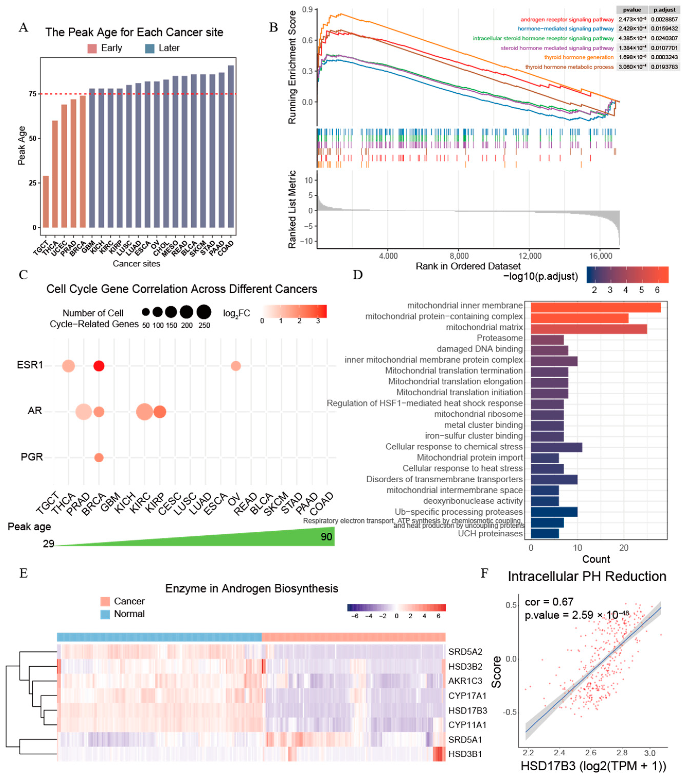 Ijms 26 00275 g006 Ijms 26 00275 g006
