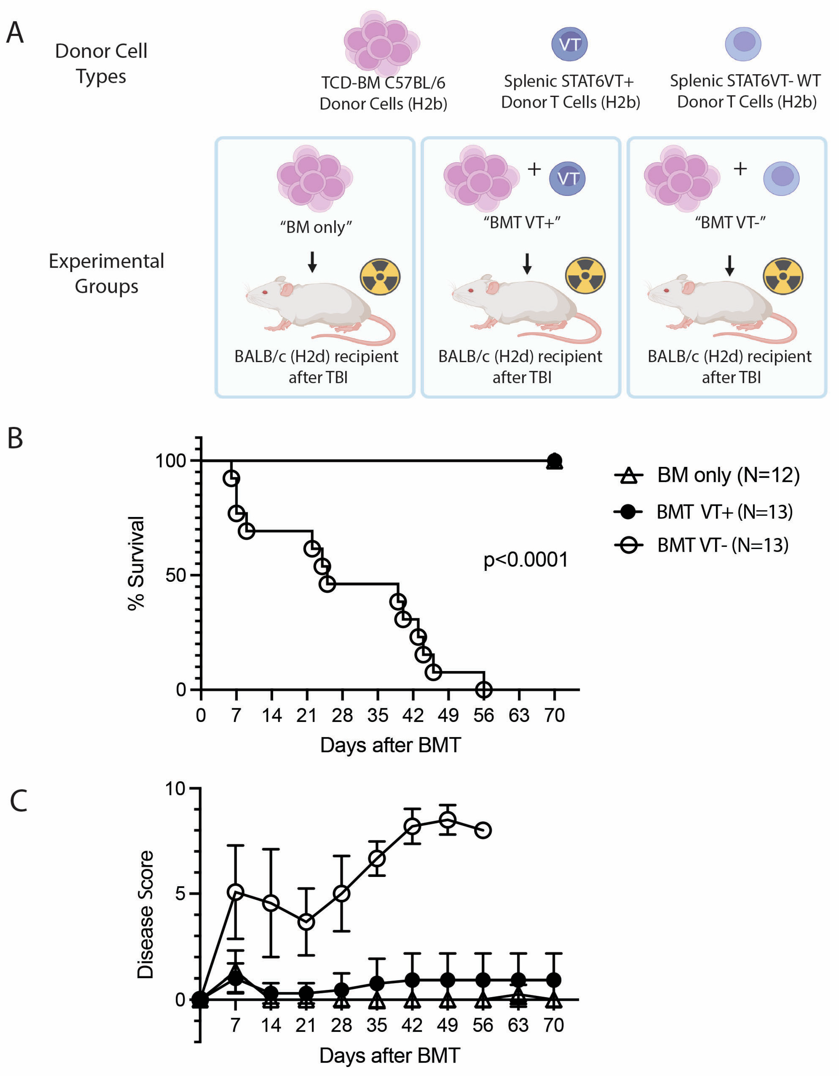 Ijms 26 00280 g001a Ijms 26 00280 g001a