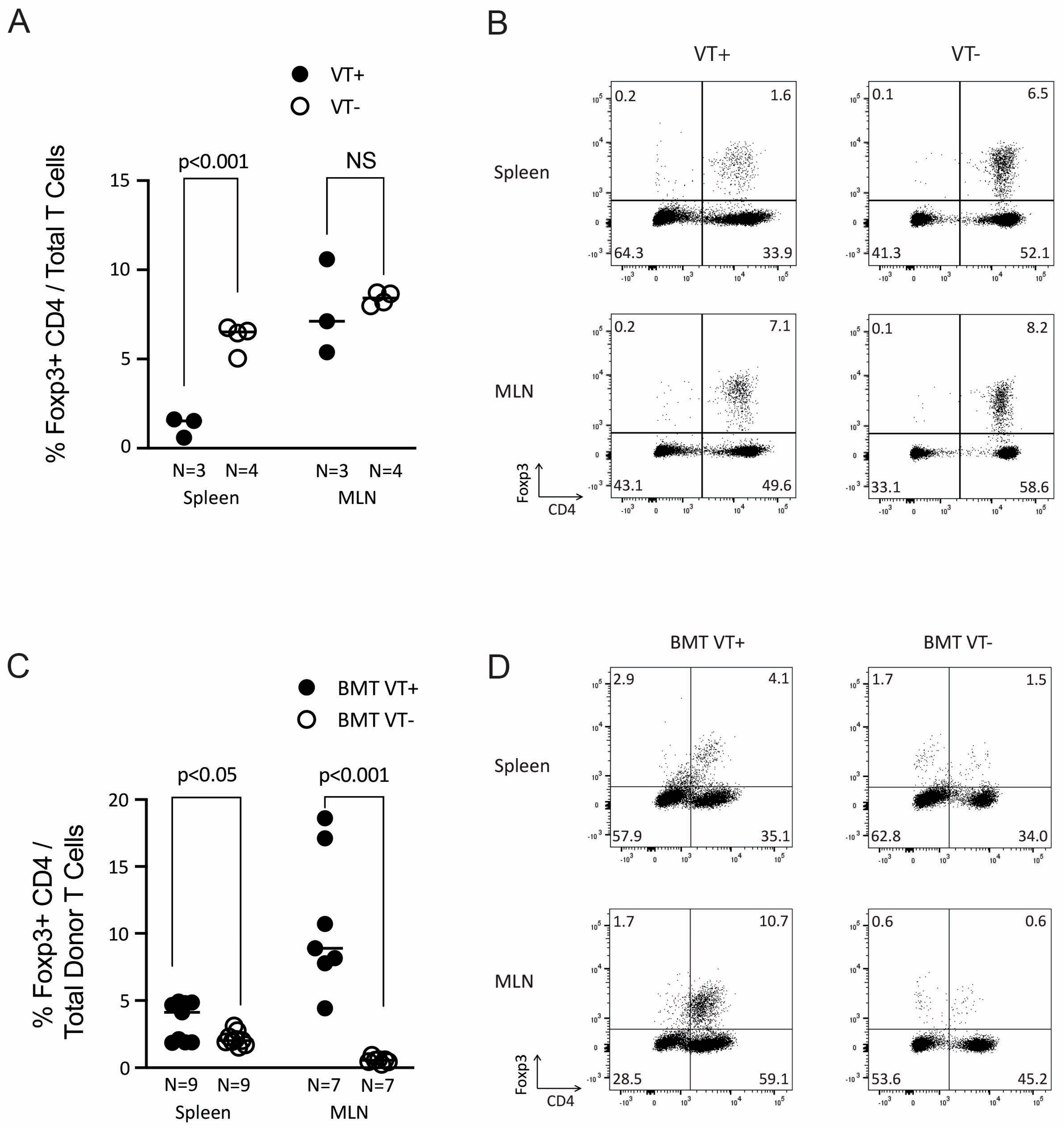 Ijms 26 00280 g004 Ijms 26 00280 g004