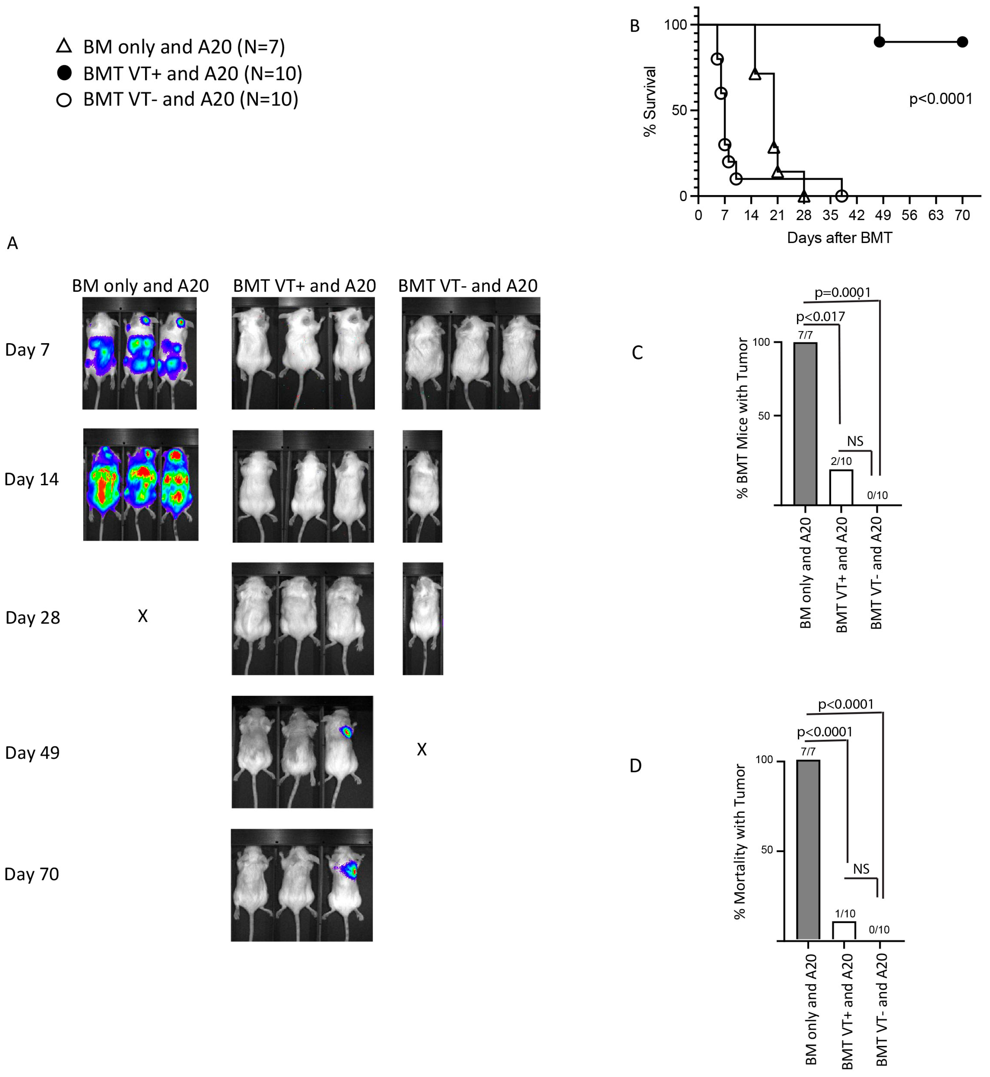 Ijms 26 00280 g005 Ijms 26 00280 g005