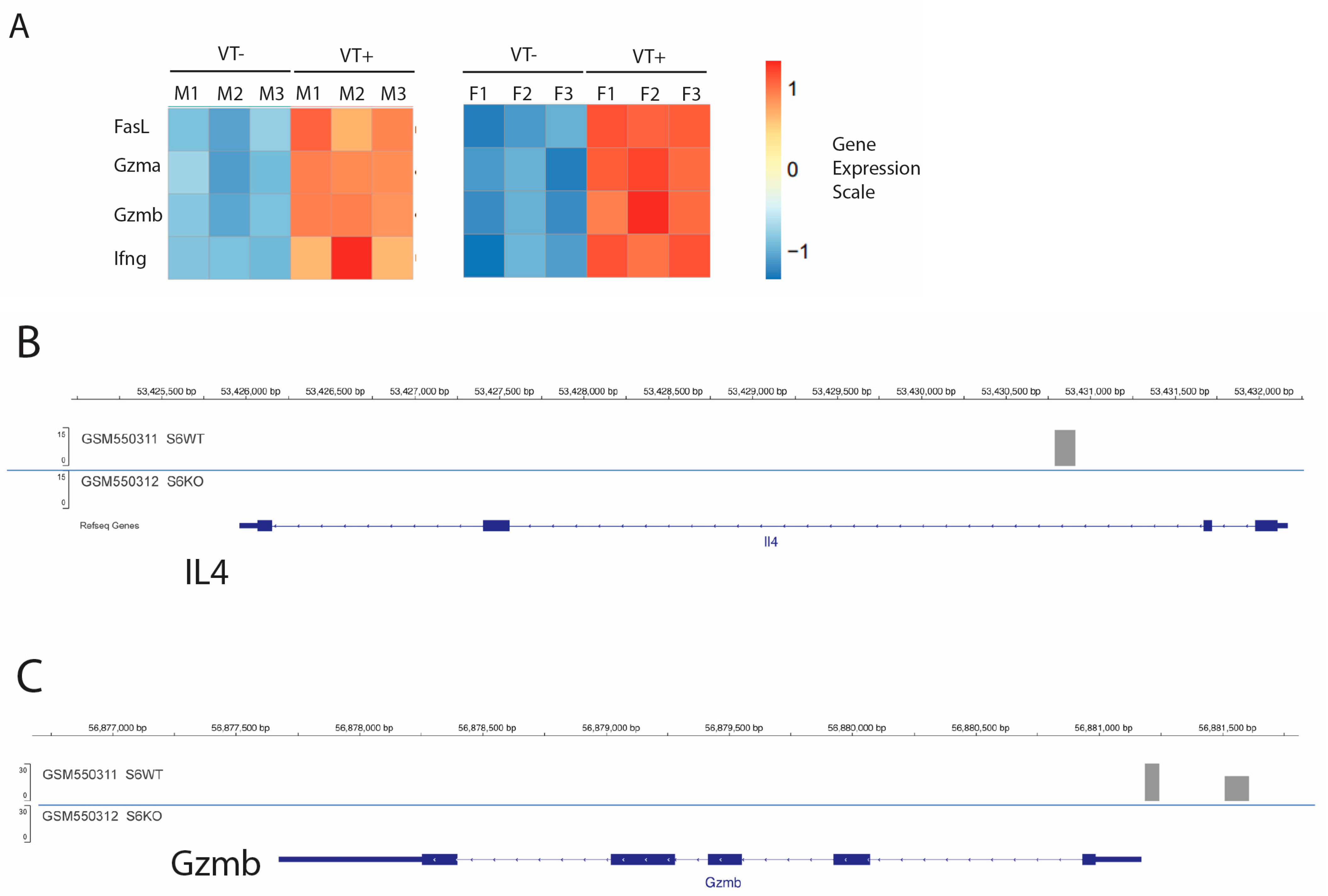 Ijms 26 00280 g007a Ijms 26 00280 g007a