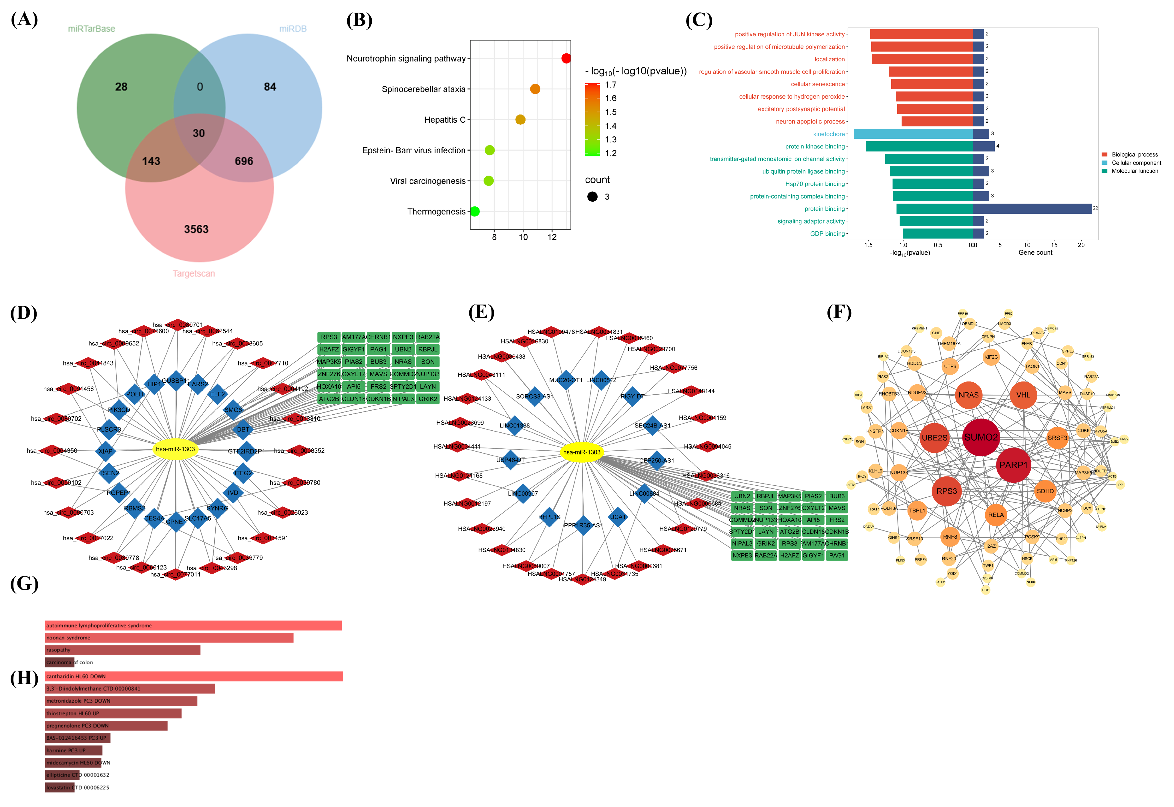 Ijms 26 00283 g005 Ijms 26 00283 g005