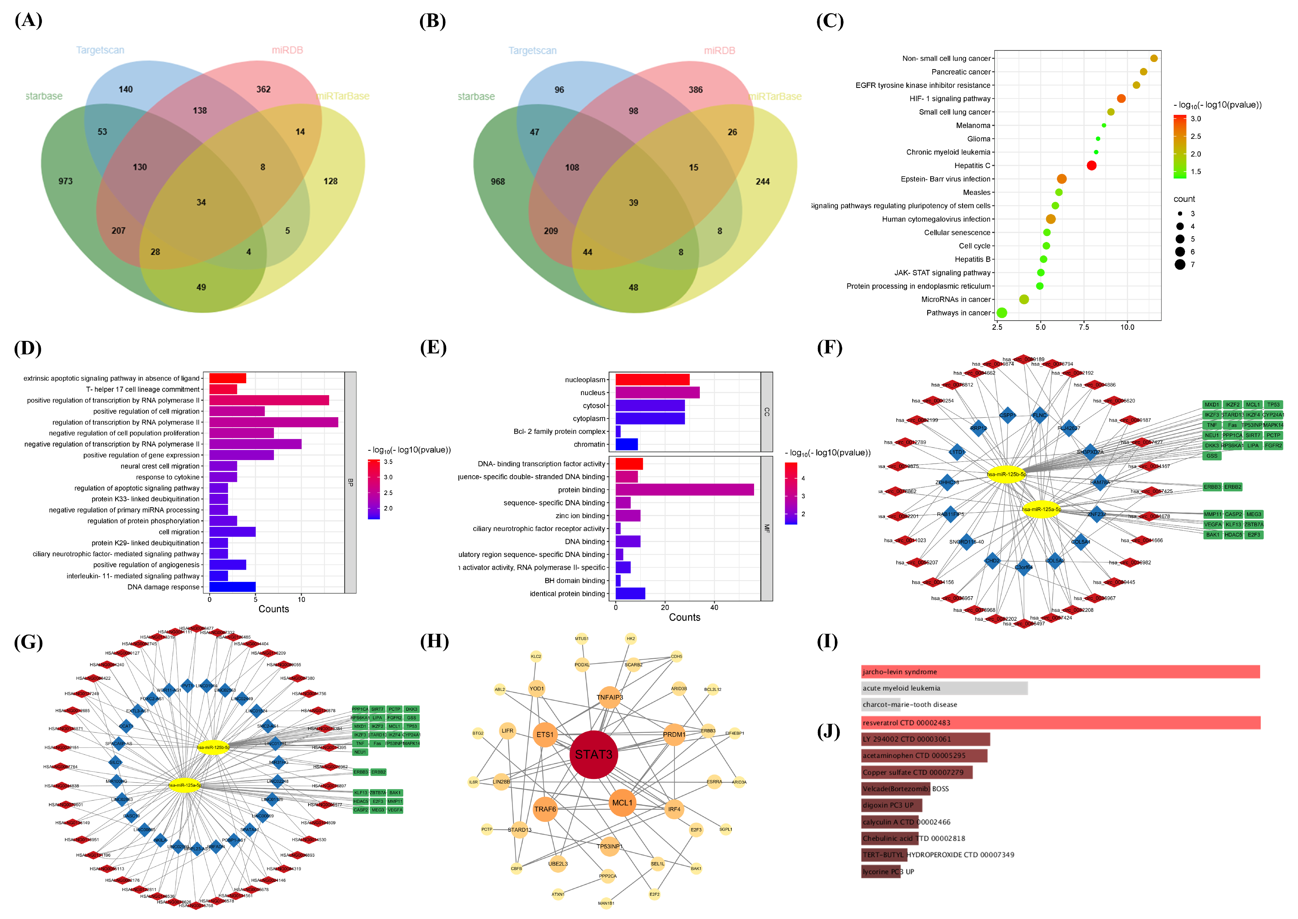 Ijms 26 00283 g006 Ijms 26 00283 g006