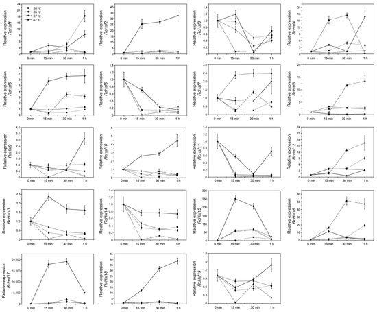 Genome-Wide Analysis of the Hsf Gene Family in Rosa chinensis and ...