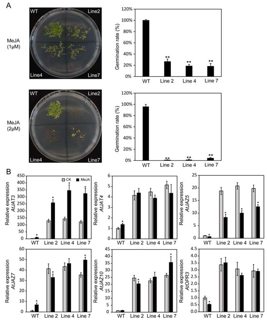 Genome-Wide Analysis of the Hsf Gene Family in Rosa chinensis and ...