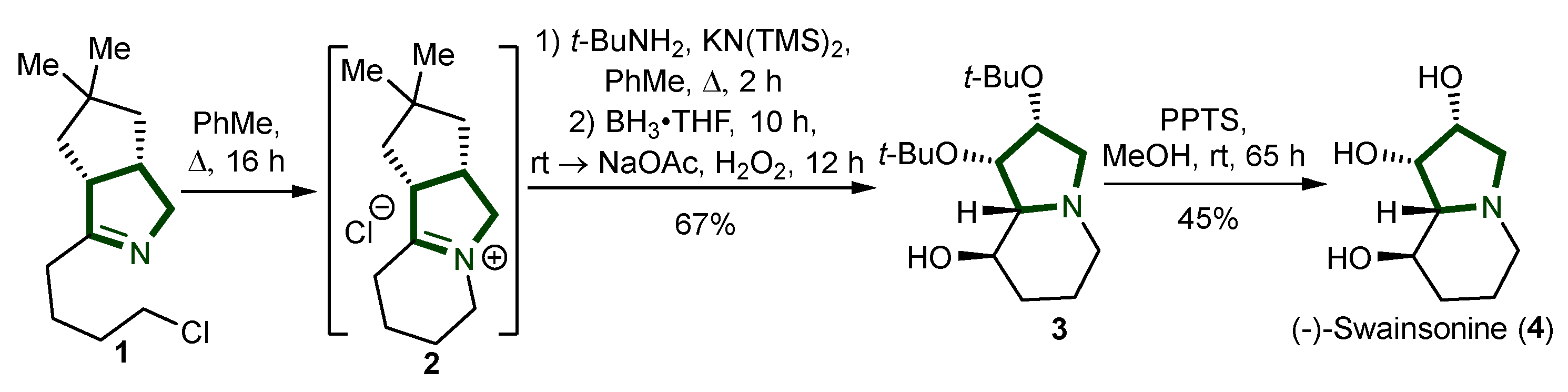 Ijms 26 00288 sch001