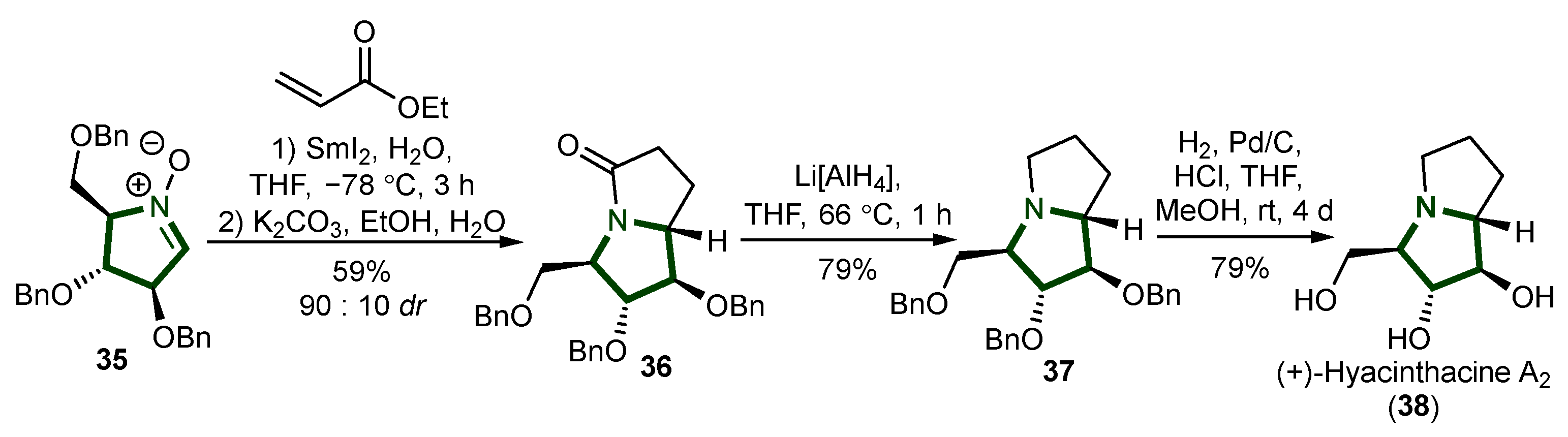 Ijms 26 00288 sch009