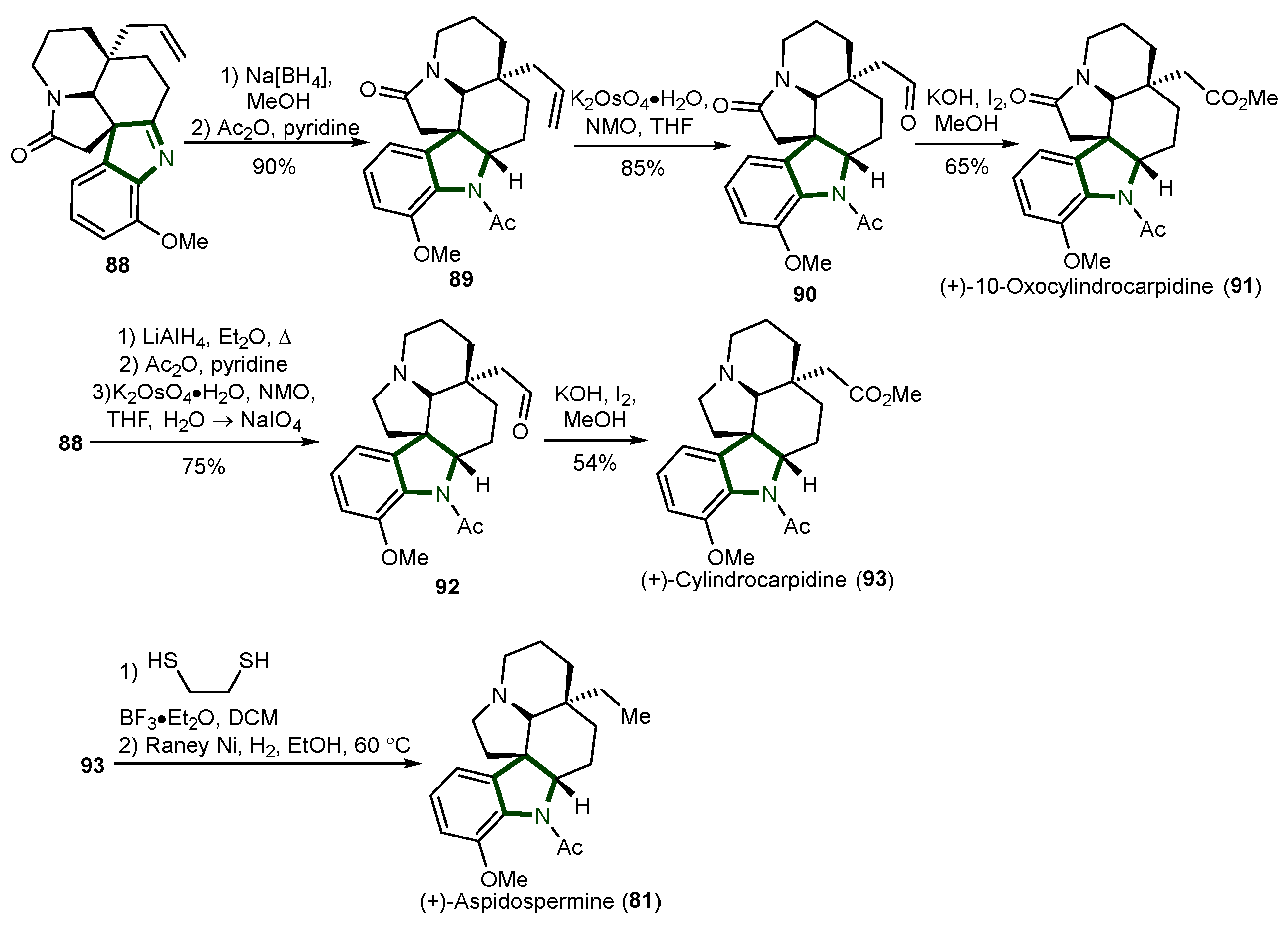 Ijms 26 00288 sch023