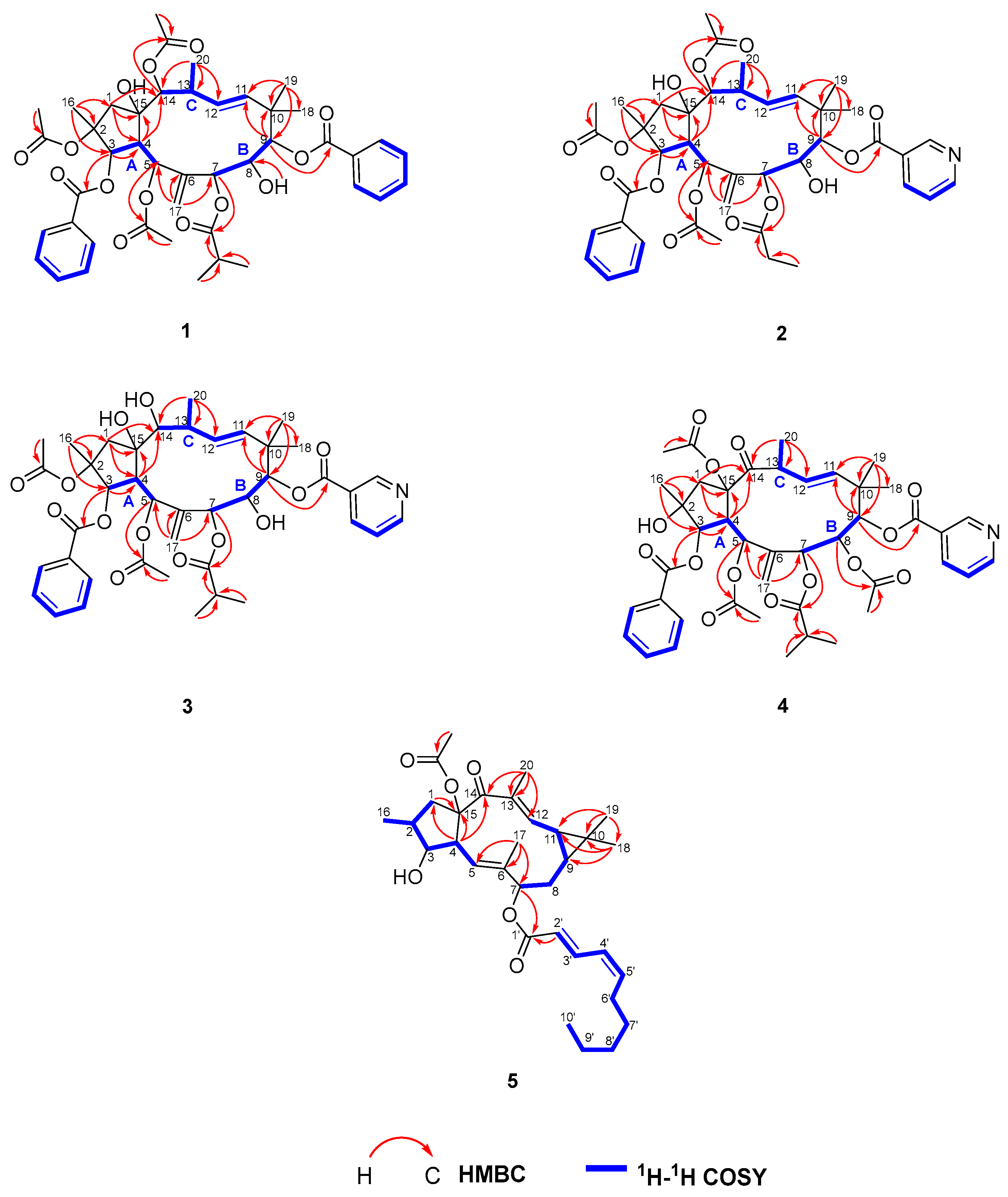 Ijms 26 00299 g002 Ijms 26 00299 g002