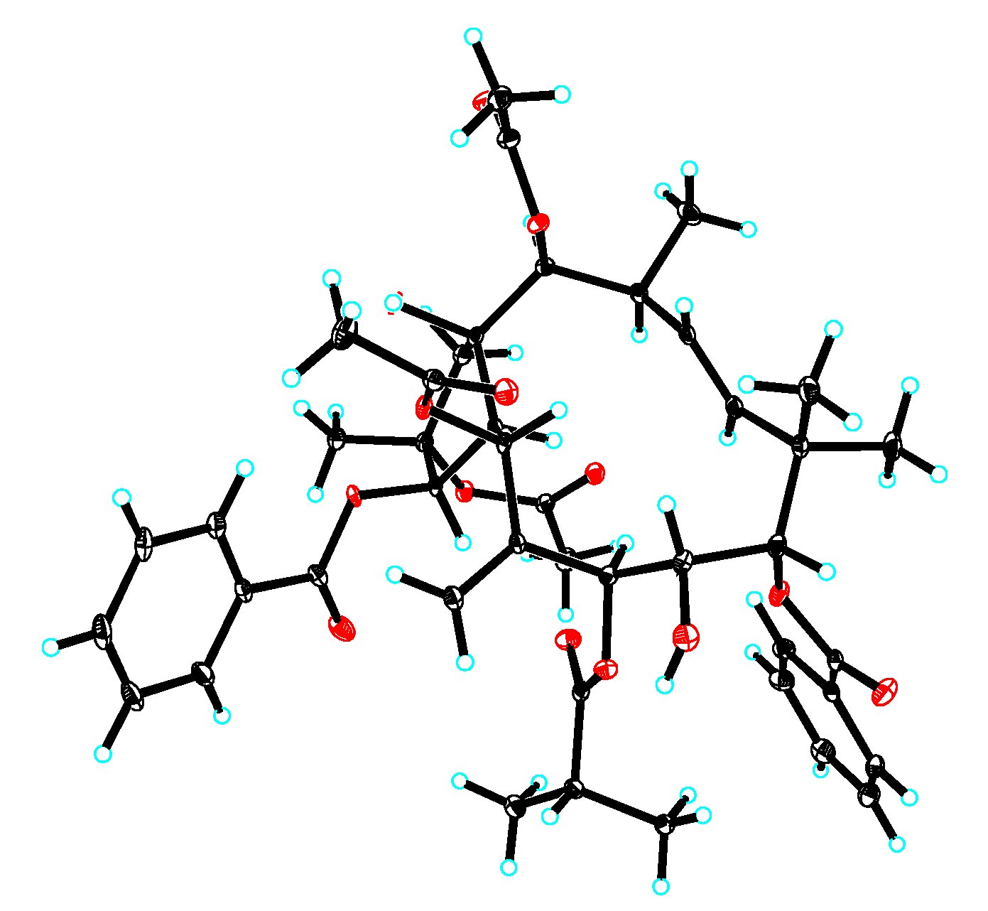 Ijms 26 00299 g004 Ijms 26 00299 g004