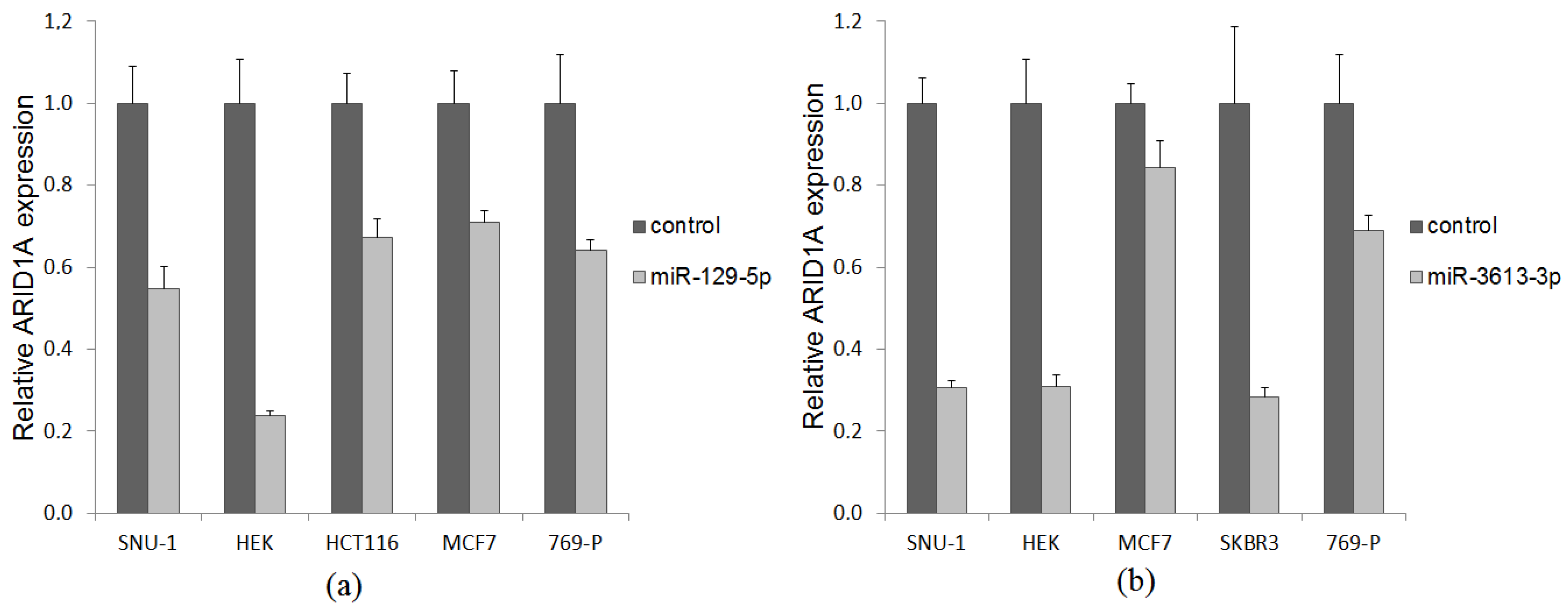 Ijms 26 00305 g004 Ijms 26 00305 g004