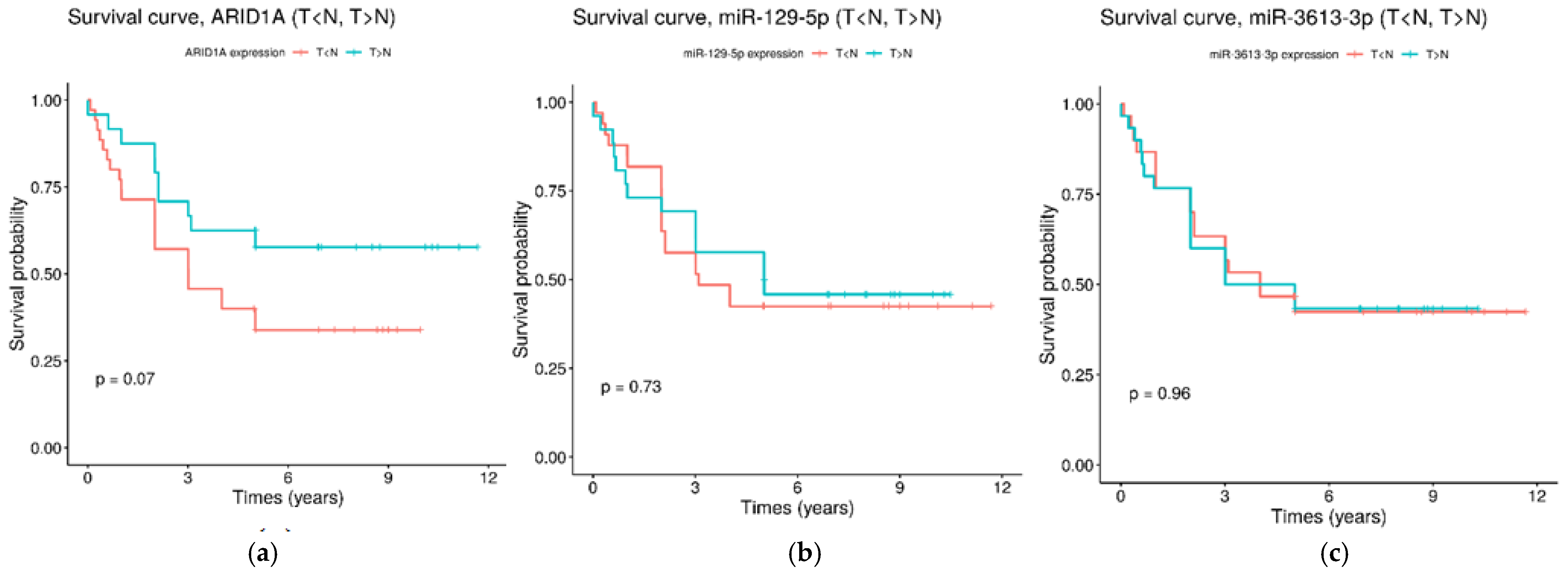 Ijms 26 00305 g005 Ijms 26 00305 g005
