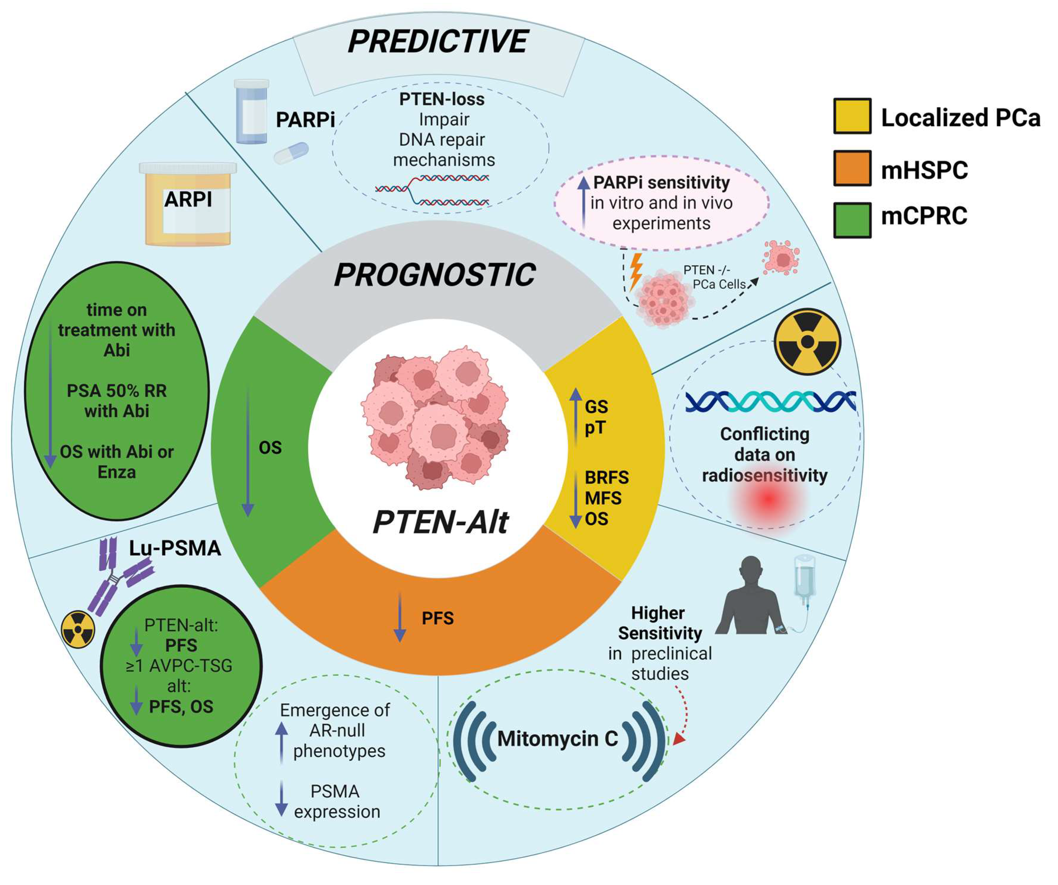 Ijms 26 00318 g003 Ijms 26 00318 g003