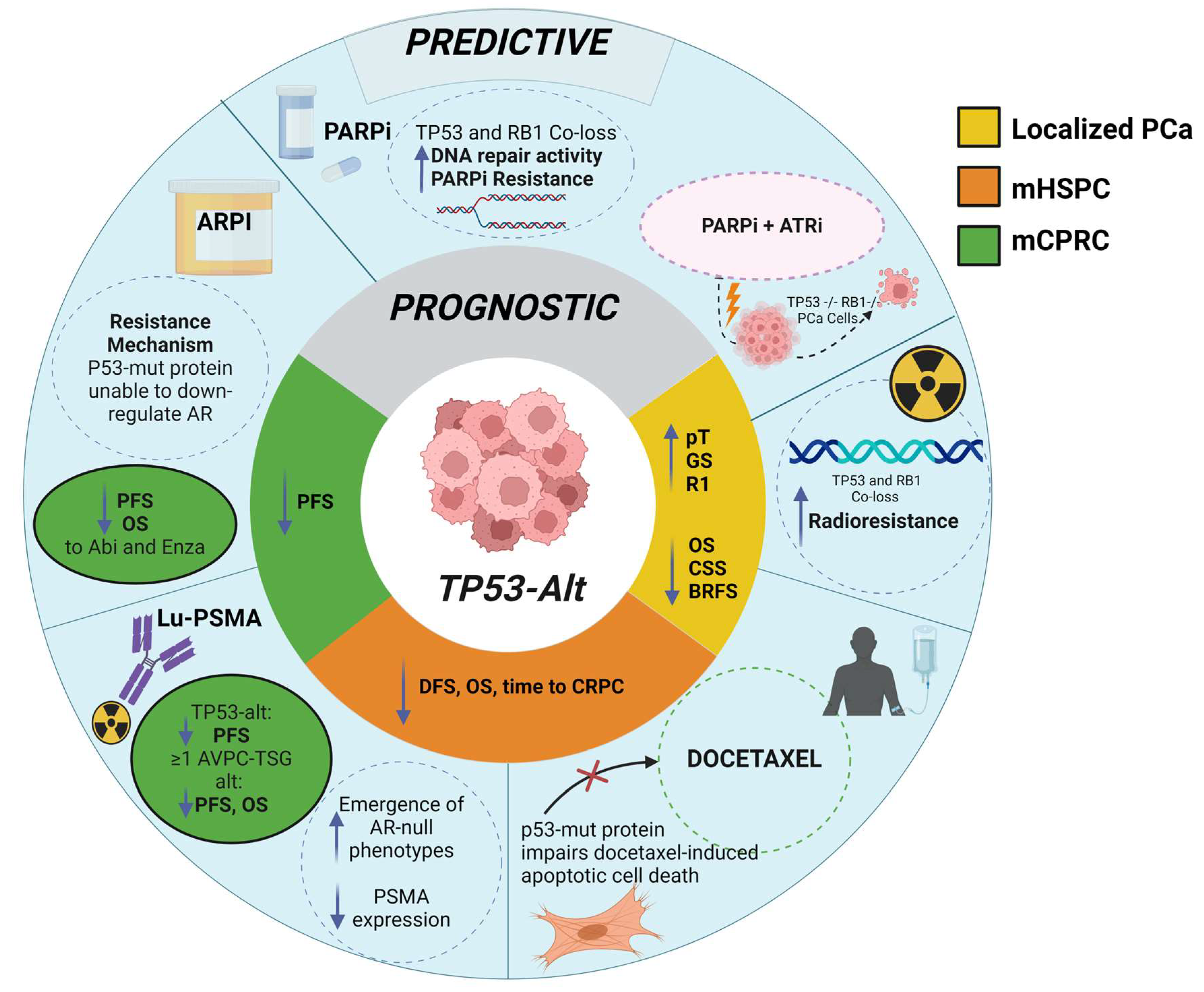 Ijms 26 00318 g005 Ijms 26 00318 g005