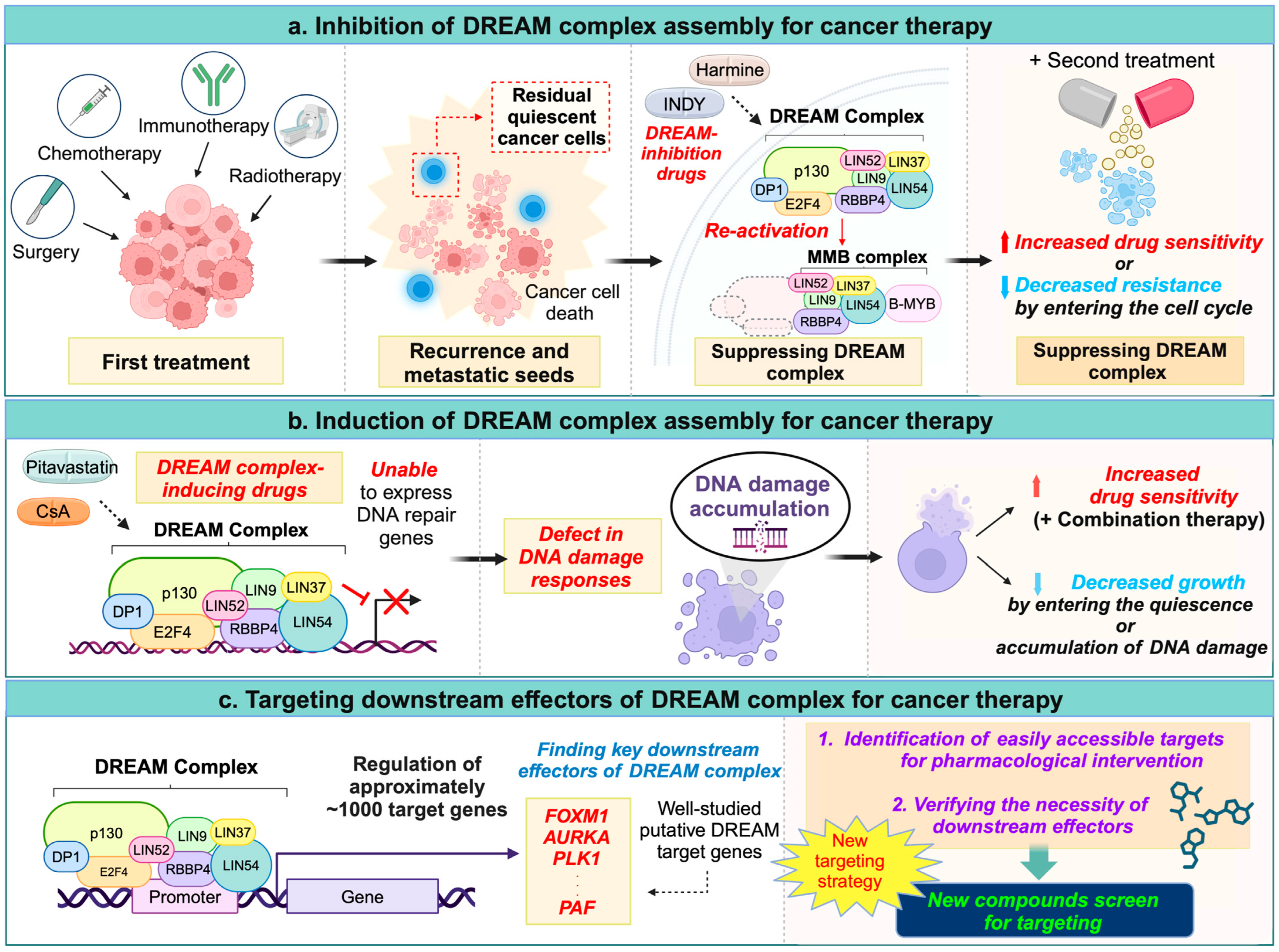 Ijms 26 00322 g003 Ijms 26 00322 g003