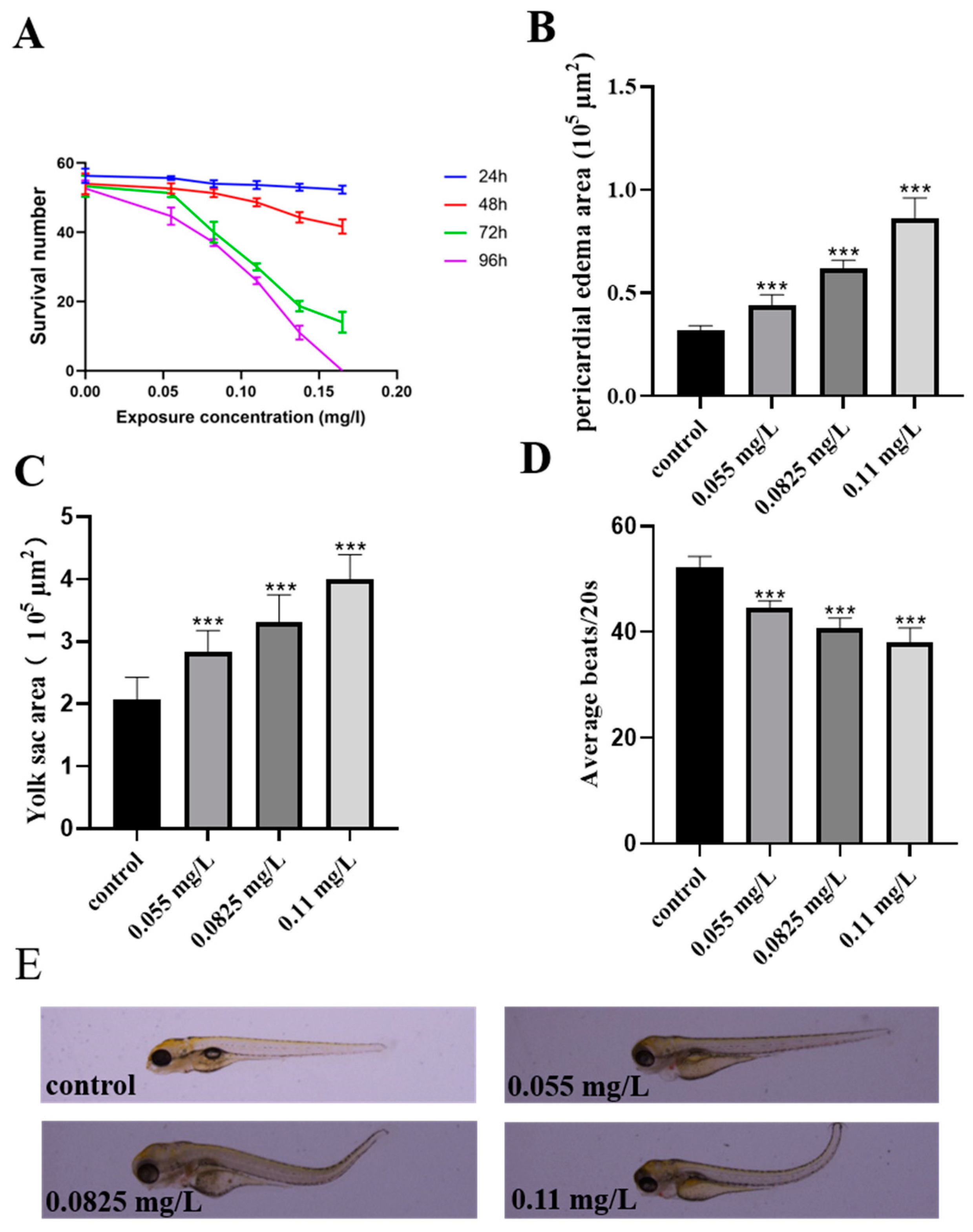 Ijms 26 00349 g001 Ijms 26 00349 g001