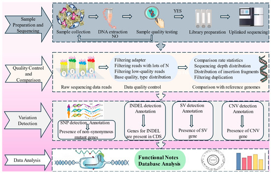 Advances in Whole Genome Sequencing: Methods, Tools, and Advances in Whole Genome Sequencing: Methods, Tools, and