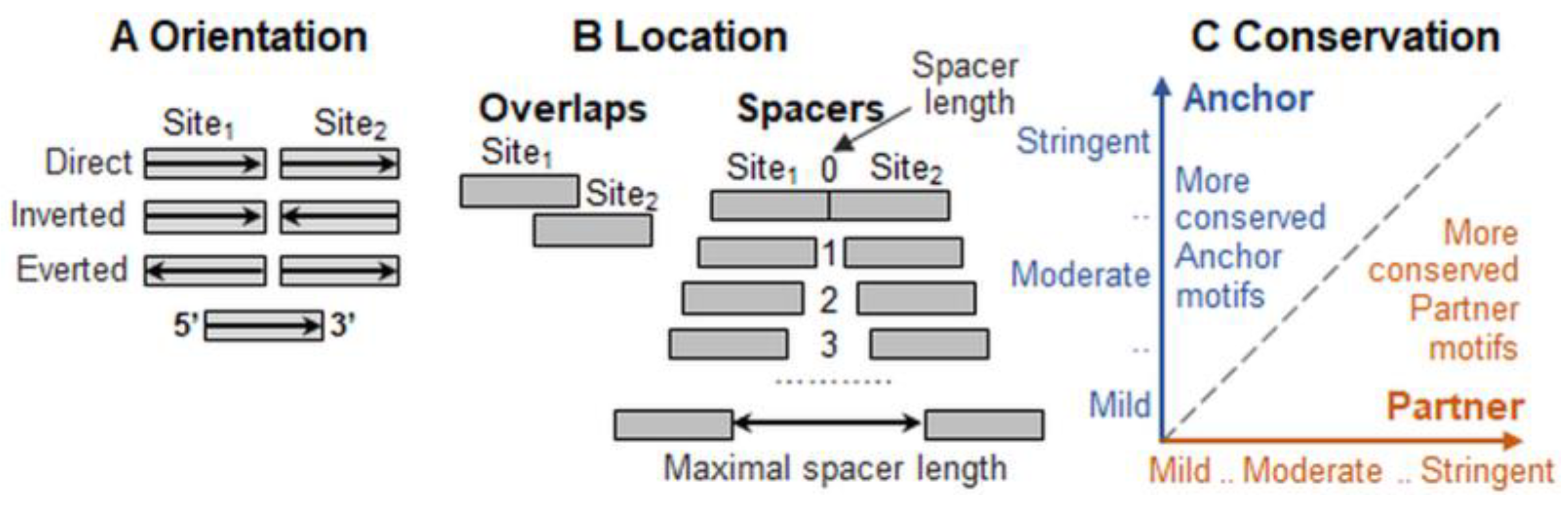 Ijms 26 00386 g001 Ijms 26 00386 g001