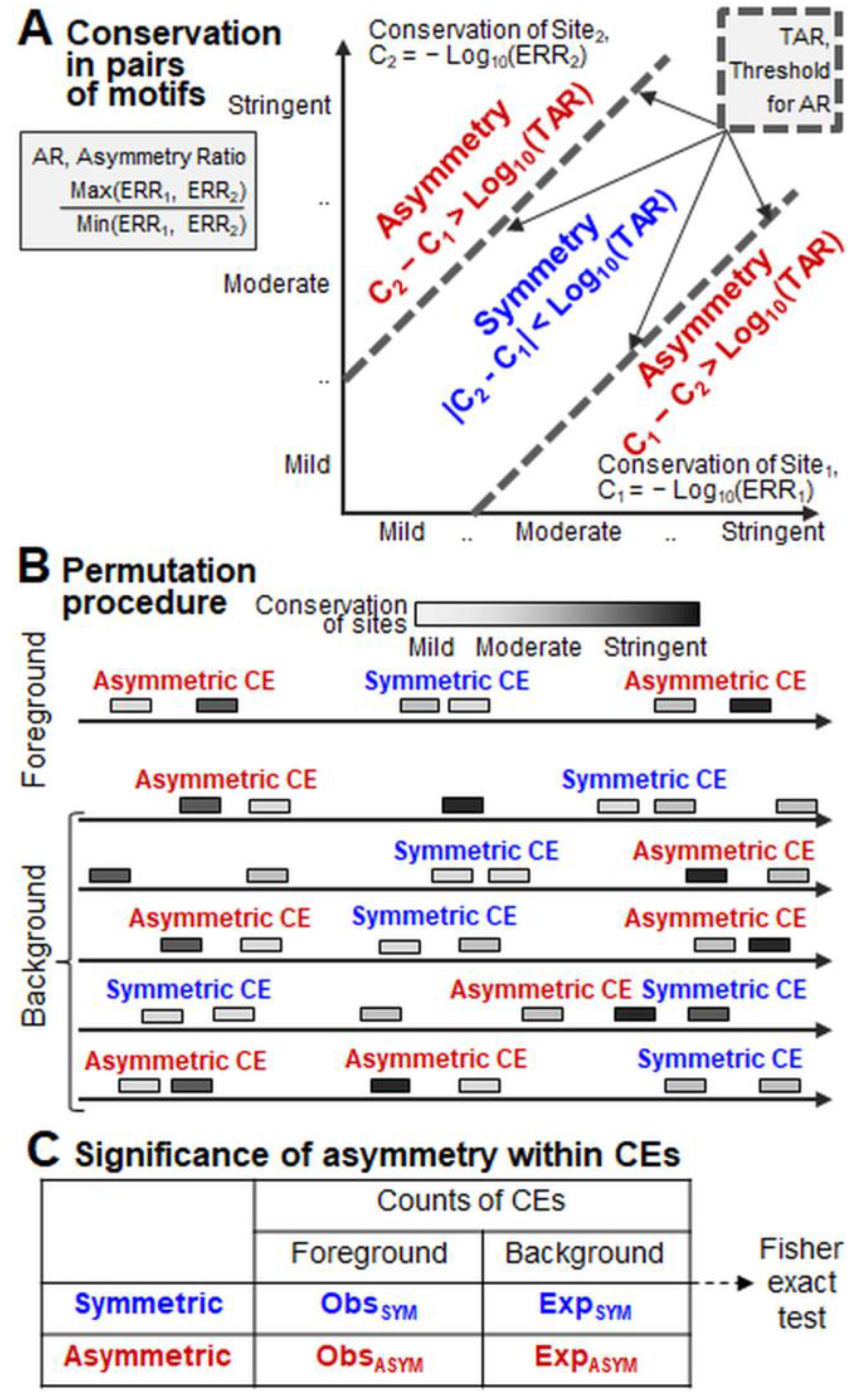 Ijms 26 00386 g002 Ijms 26 00386 g002