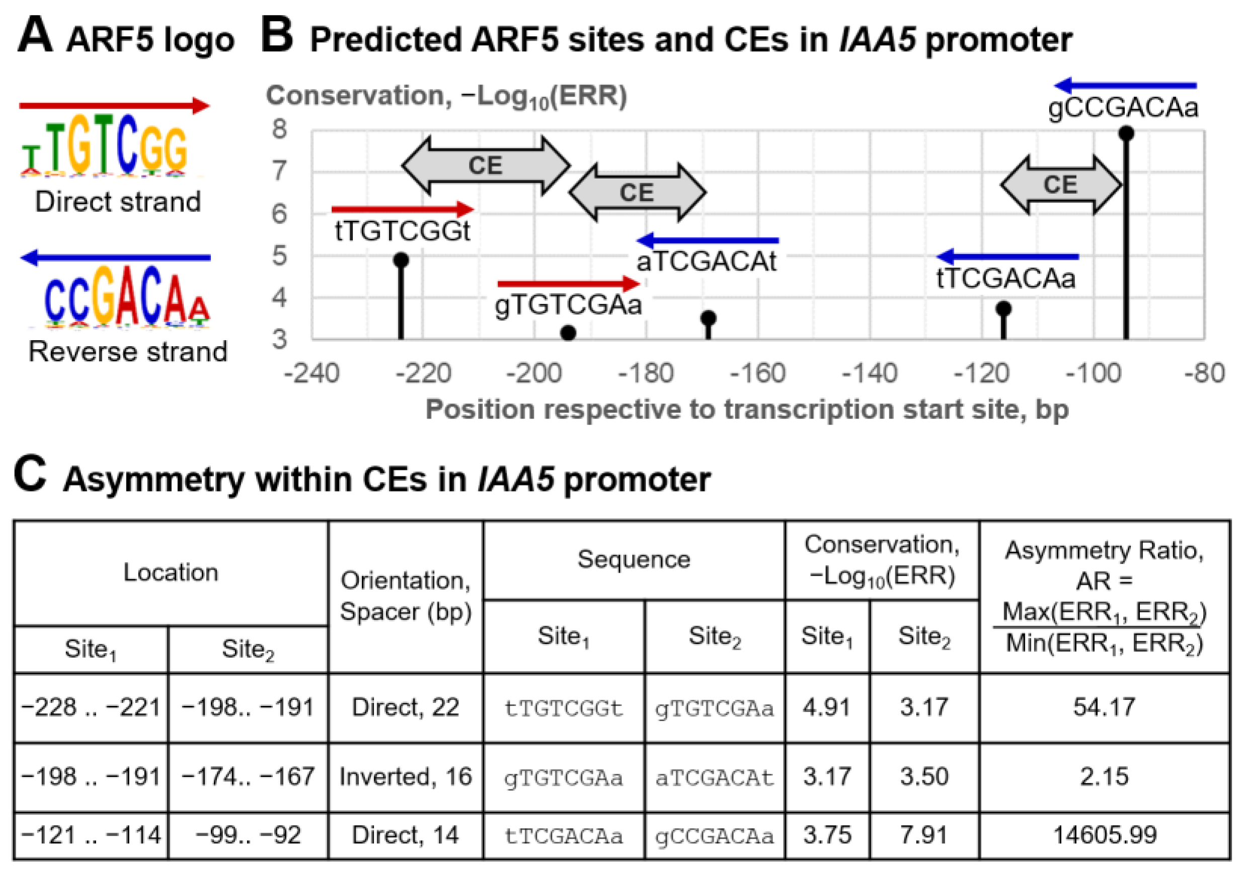 Ijms 26 00386 g003 Ijms 26 00386 g003