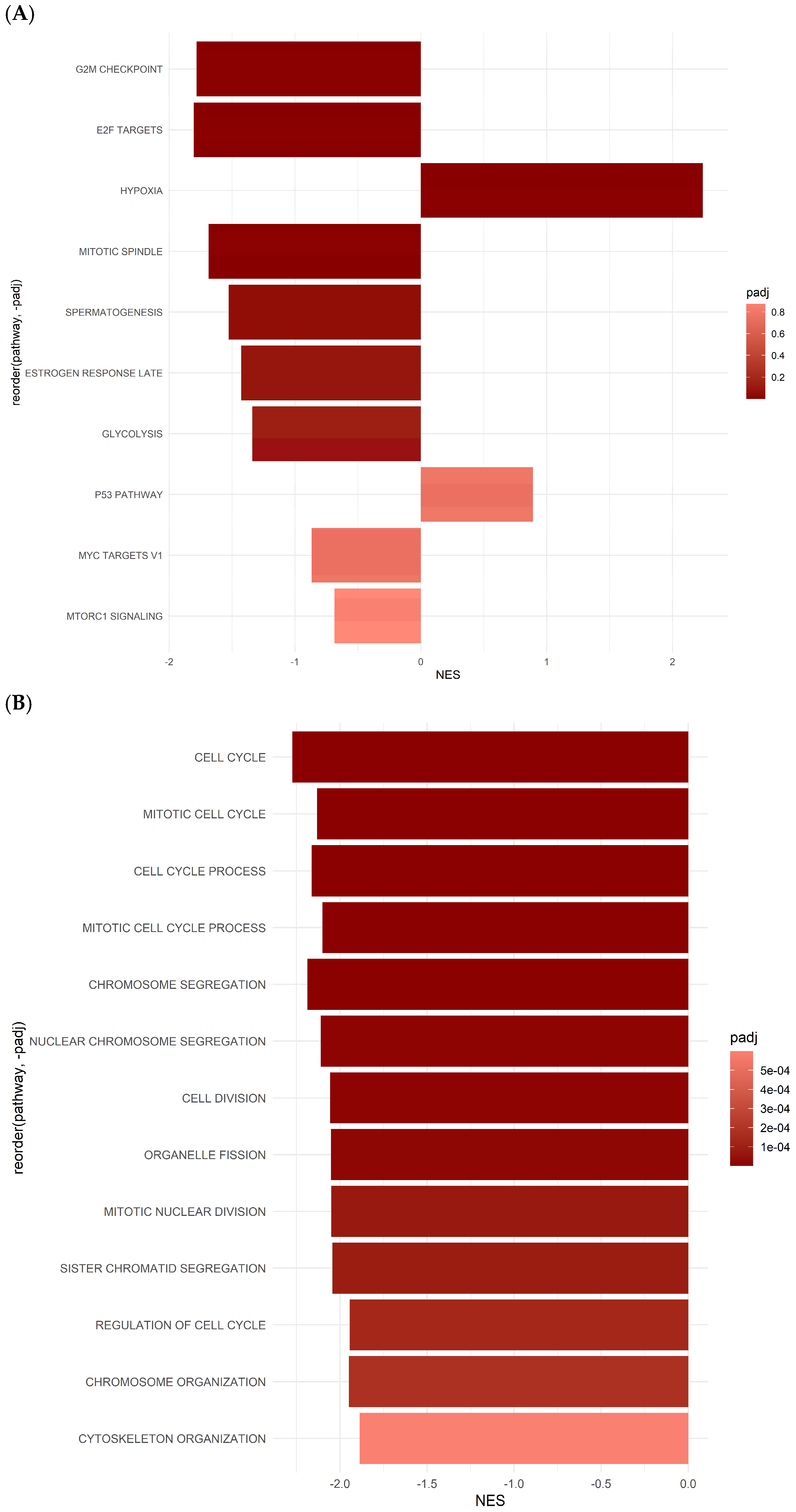 Ijms 26 00390 g005 Ijms 26 00390 g005