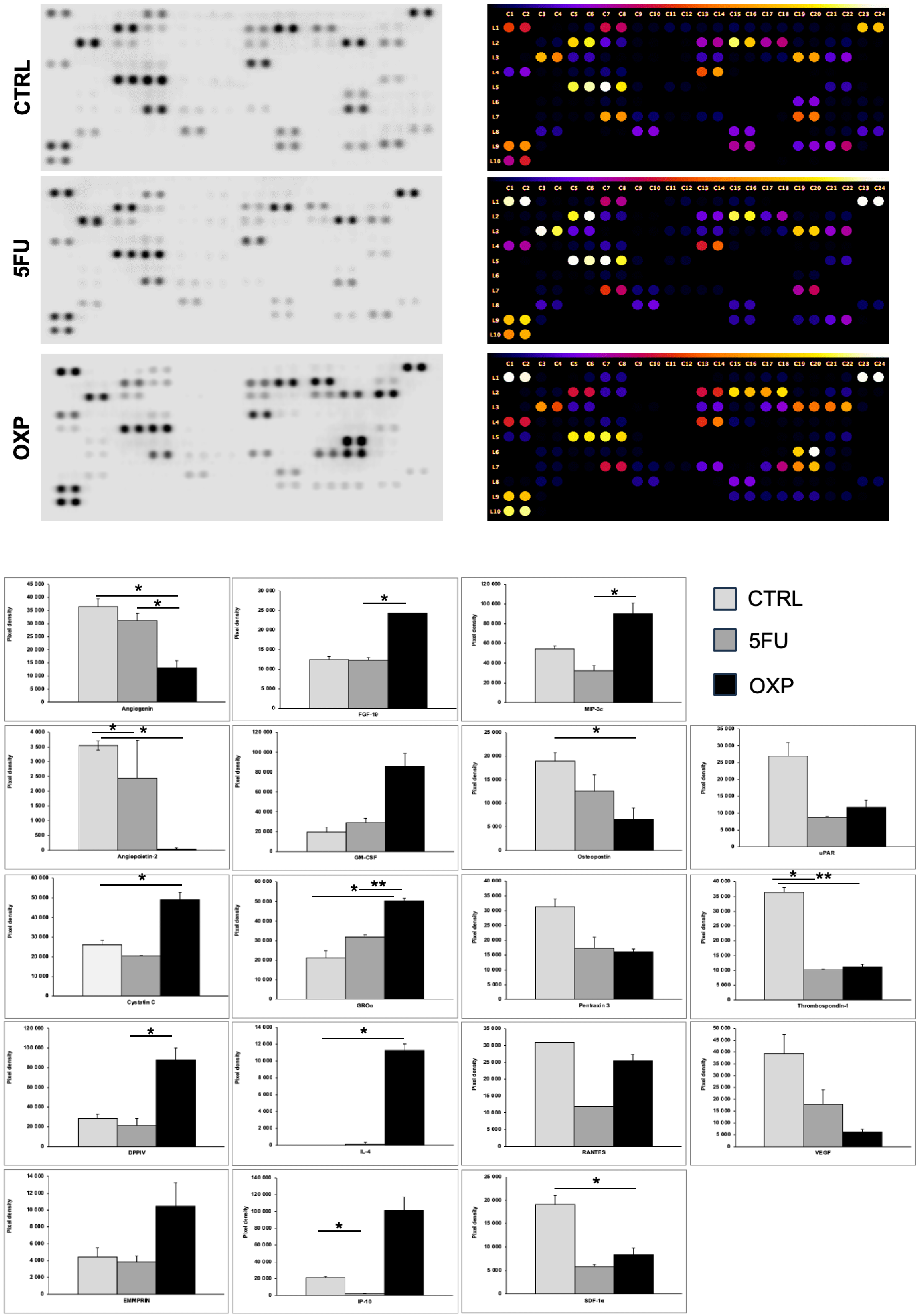 Ijms 26 00390 g006 Ijms 26 00390 g006
