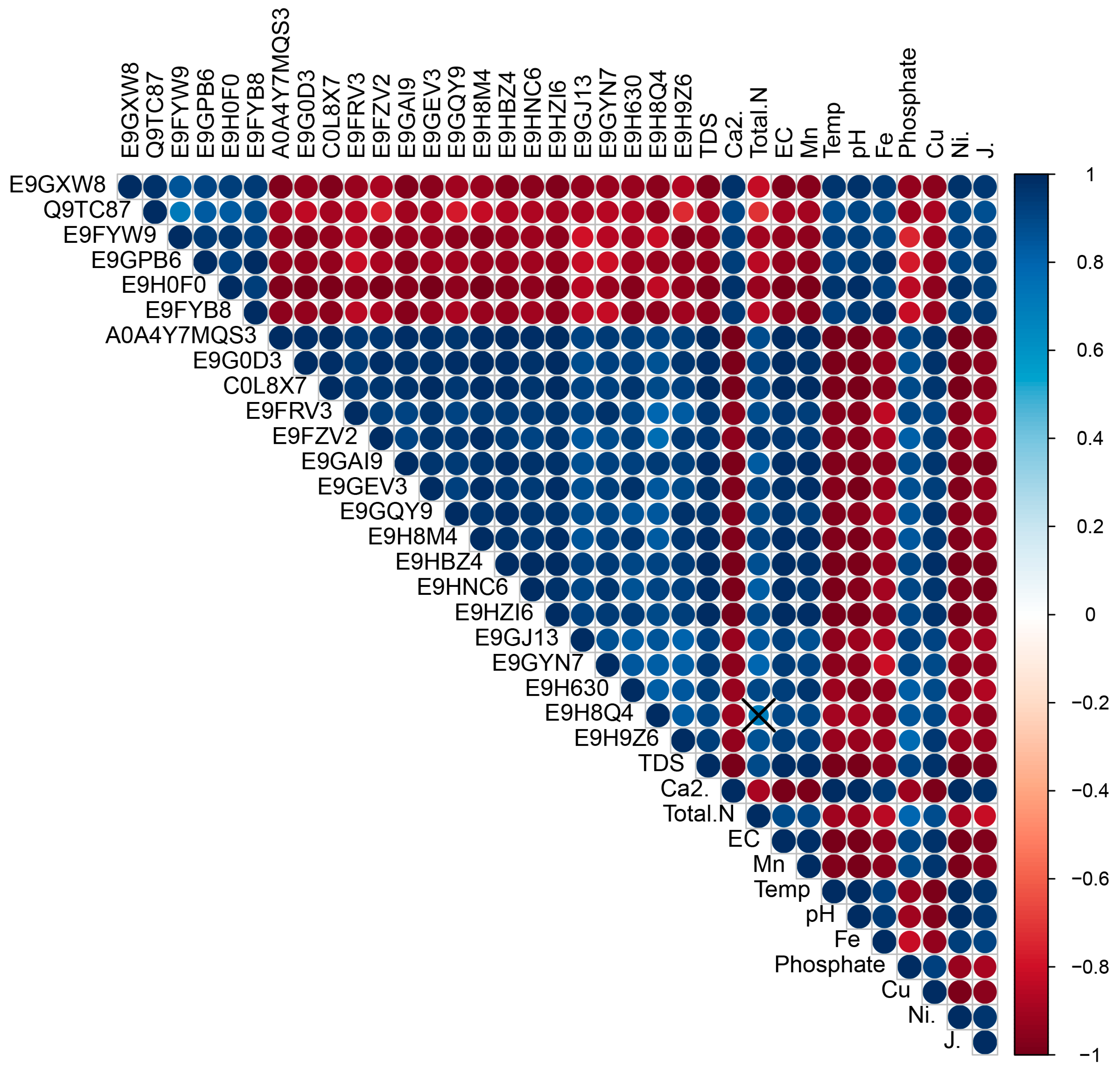 Ijms 26 00417 g002 Ijms 26 00417 g002