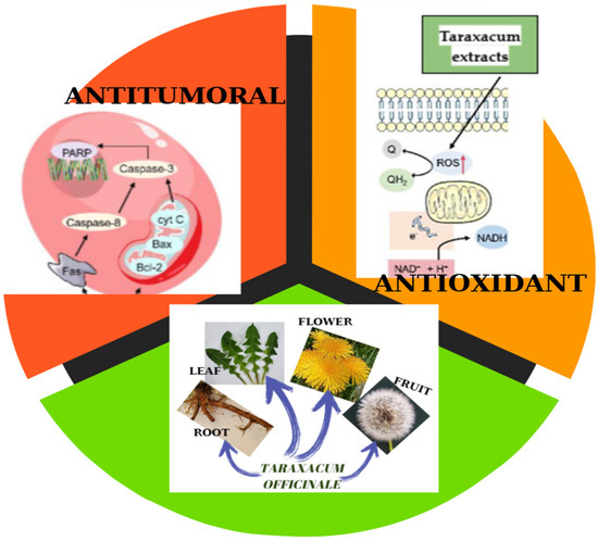 glutathione oral bioavailability study A Targeted Metabolomic Assessment of Oral Glutathione Bioavailability and  Safety in Humans: A Randomized Crossover Clinical Trial