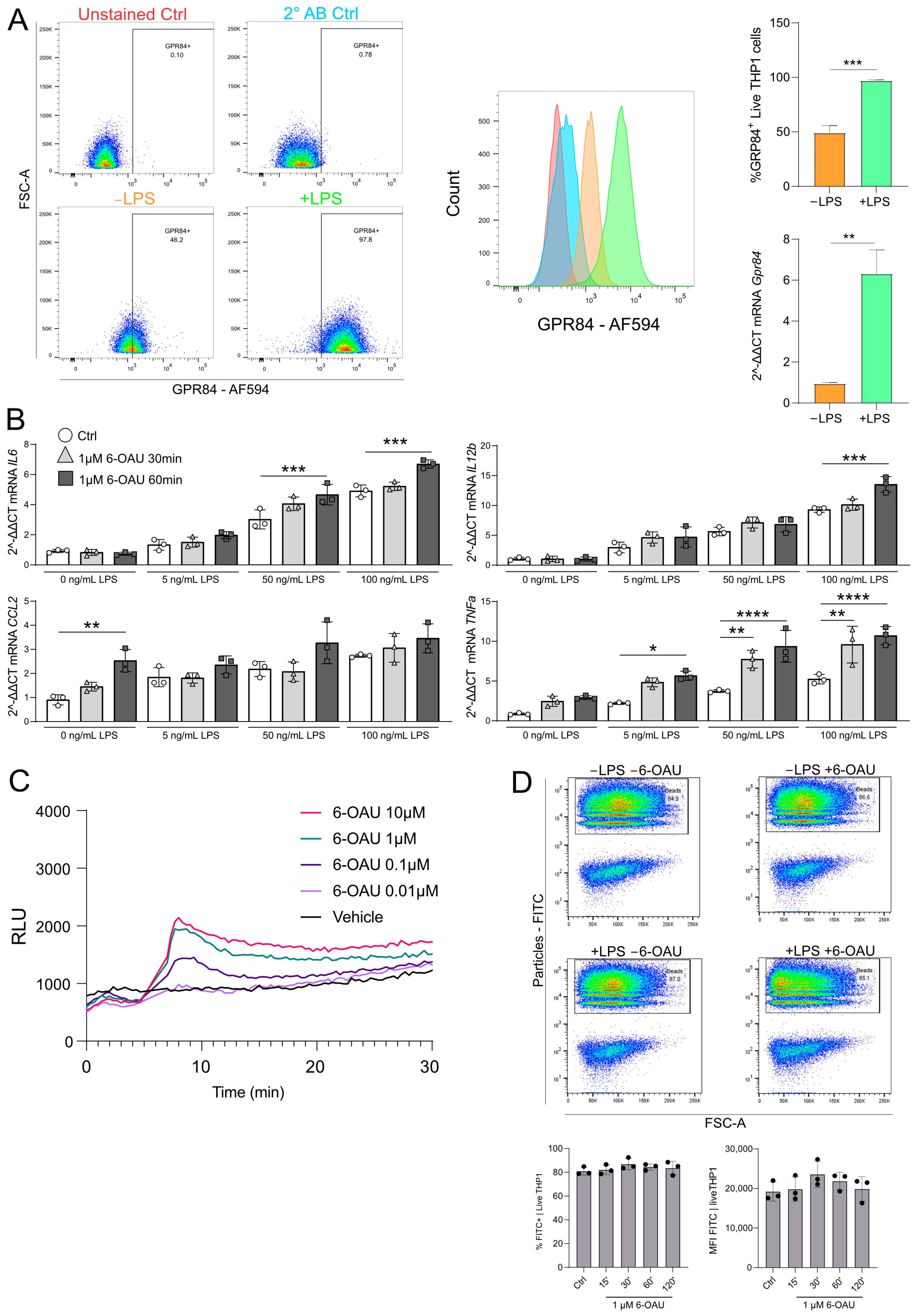 Synthetic GPR84 Agonists in Colorectal Cancer: Effective in