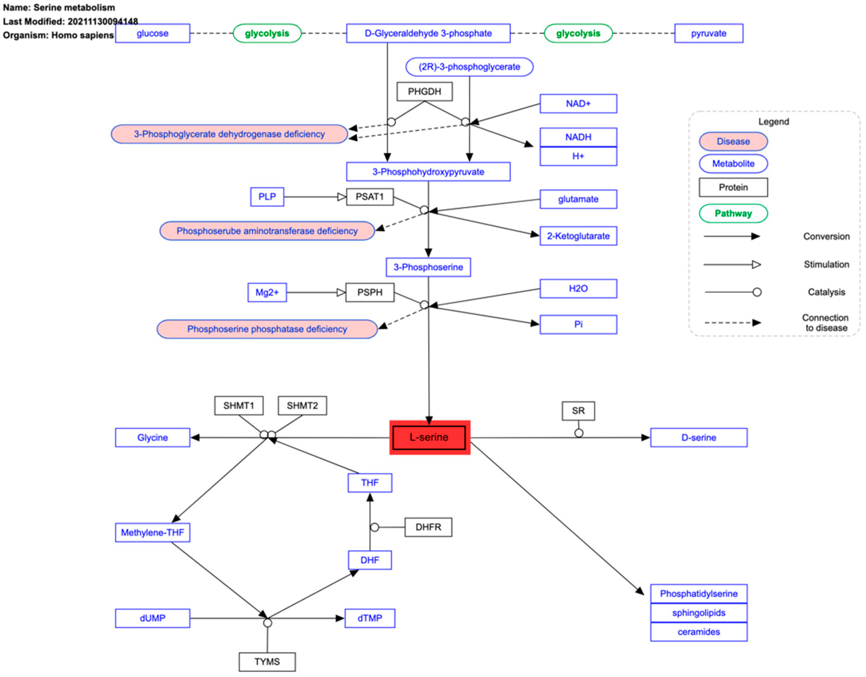 Ijms 26 00498 g004 Ijms 26 00498 g004