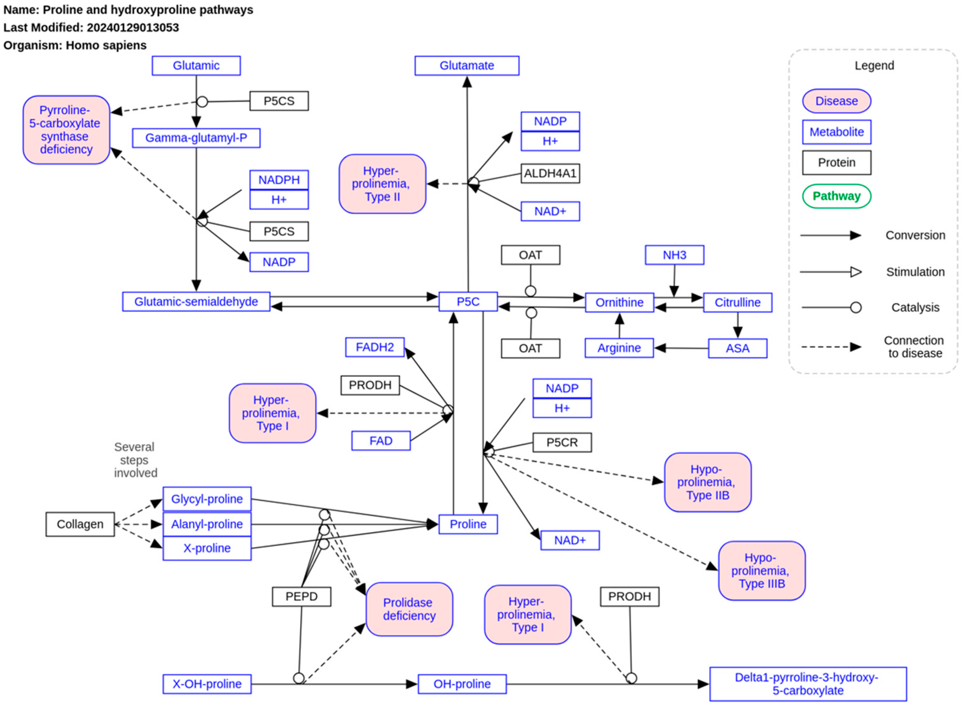 Ijms 26 00498 g005 Ijms 26 00498 g005