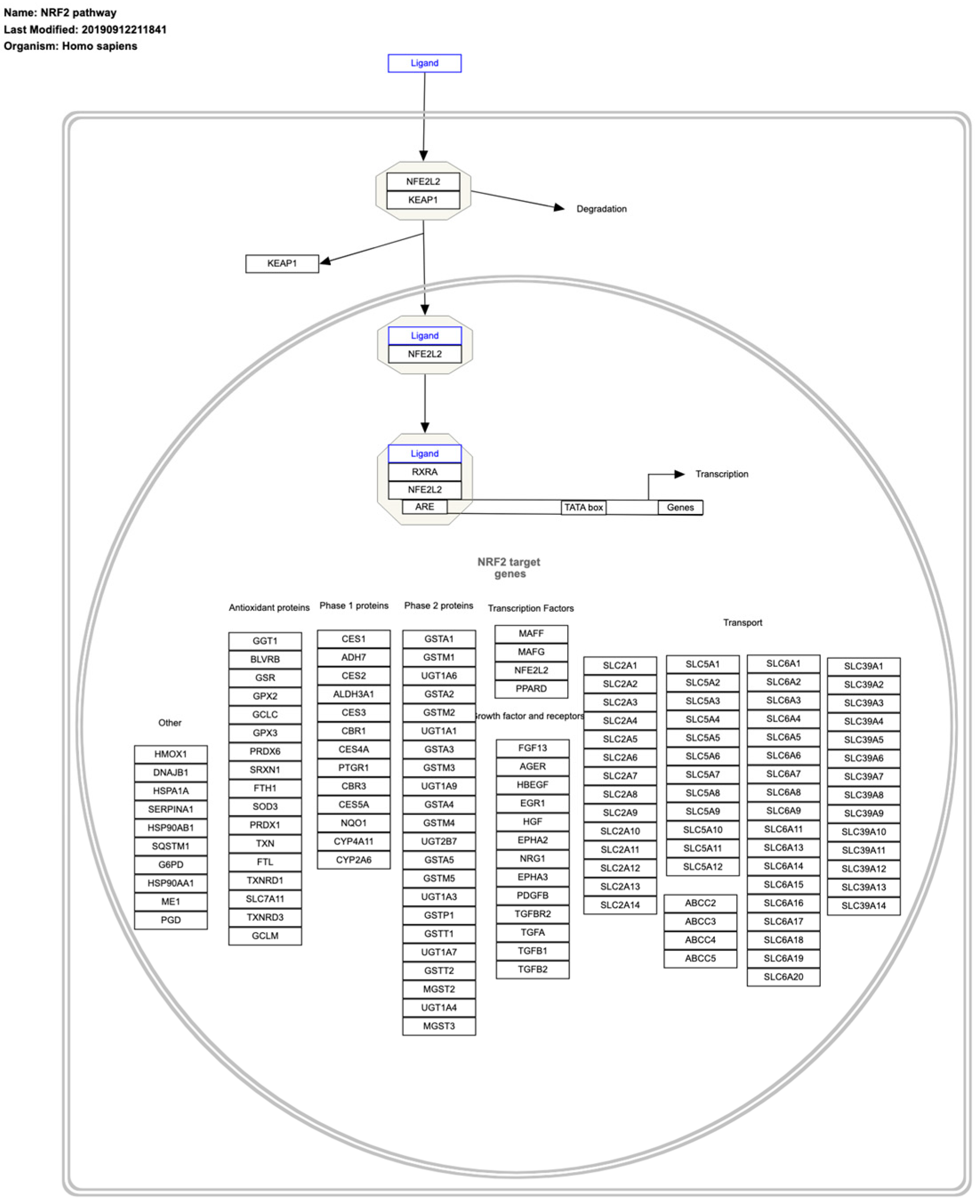 Ijms 26 00498 g007 Ijms 26 00498 g007