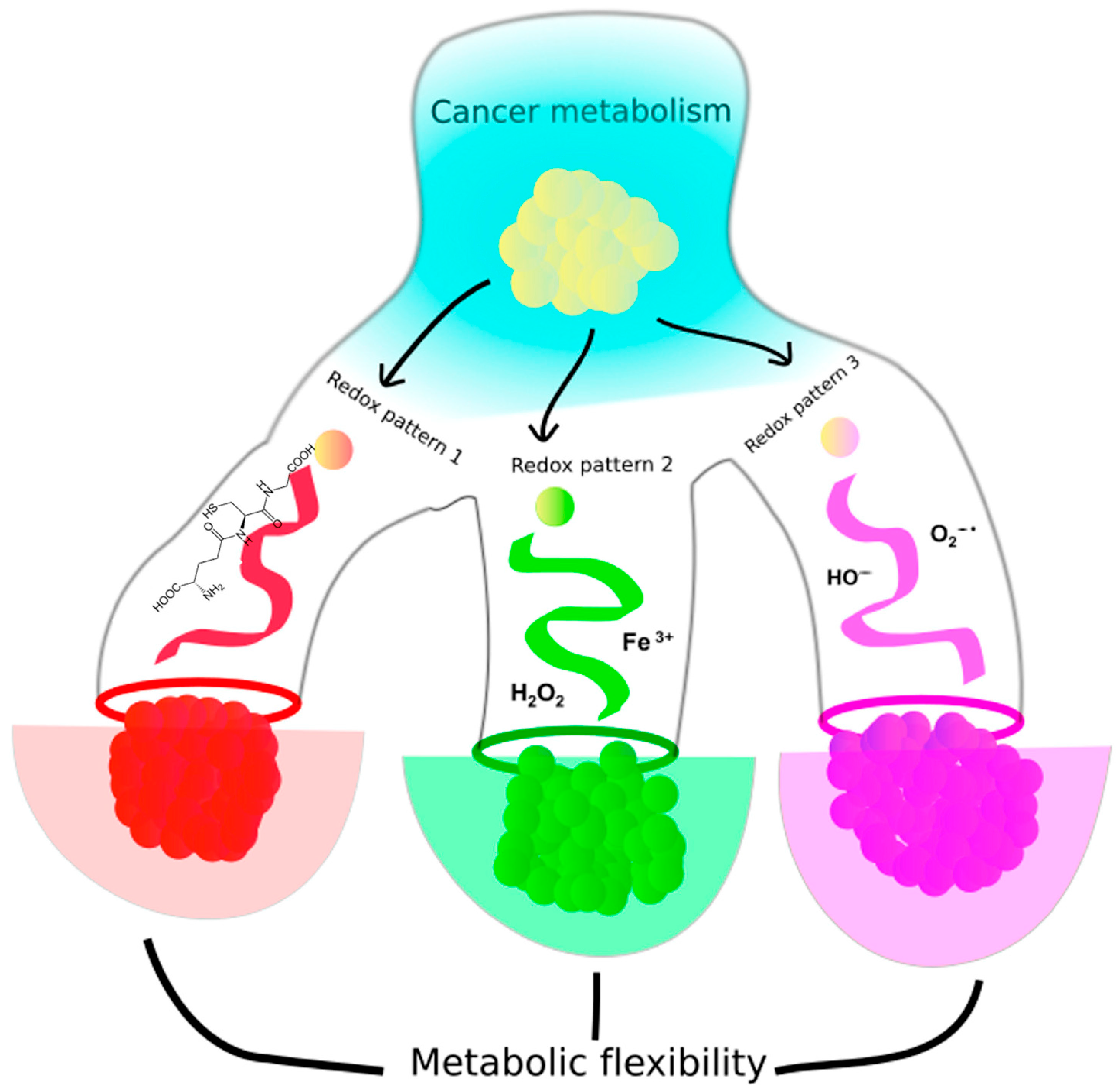 Ijms 26 00498 g008 Ijms 26 00498 g008