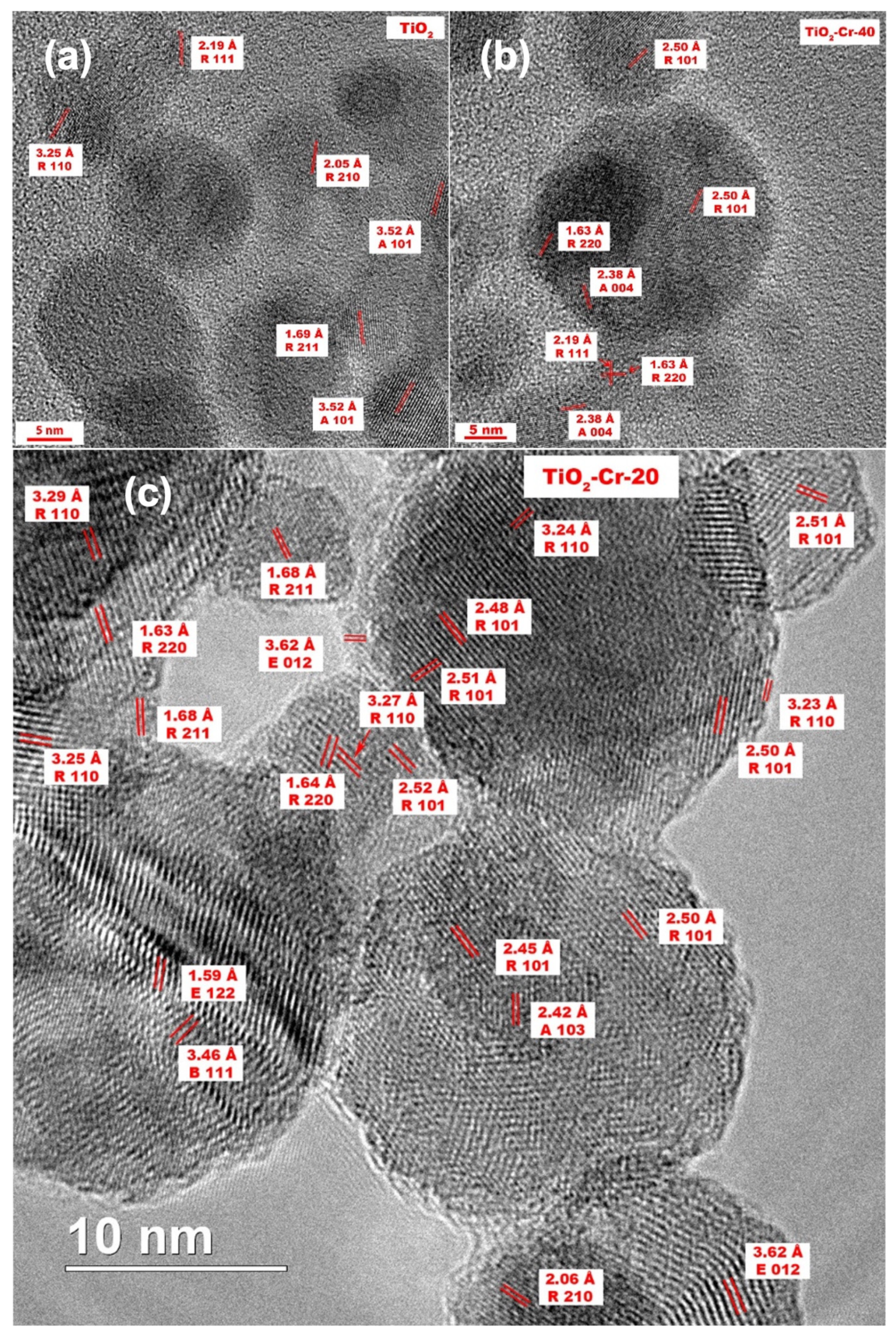 Ijms 26 00499 g003 Ijms 26 00499 g003