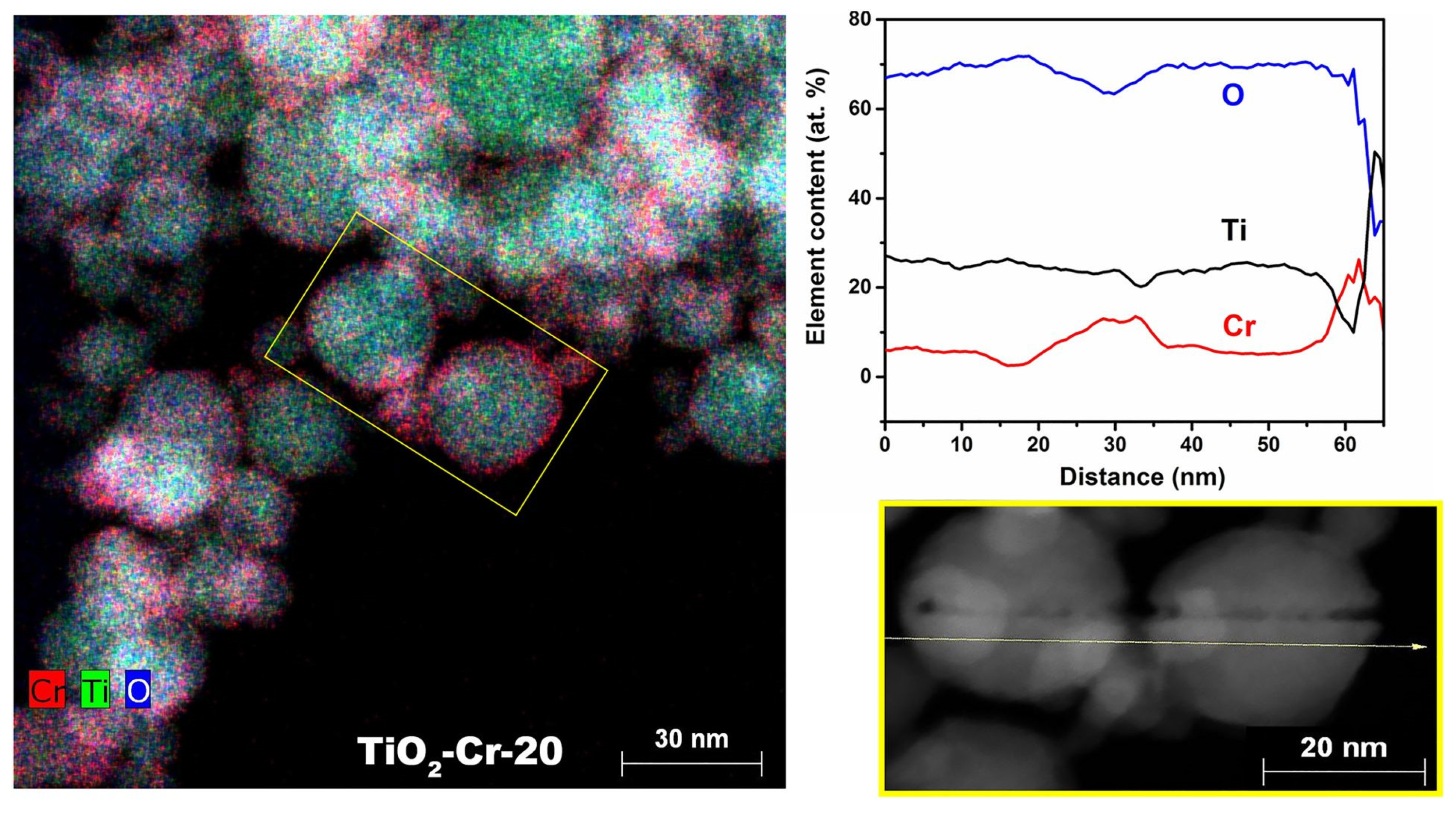 Ijms 26 00499 g005 Ijms 26 00499 g005