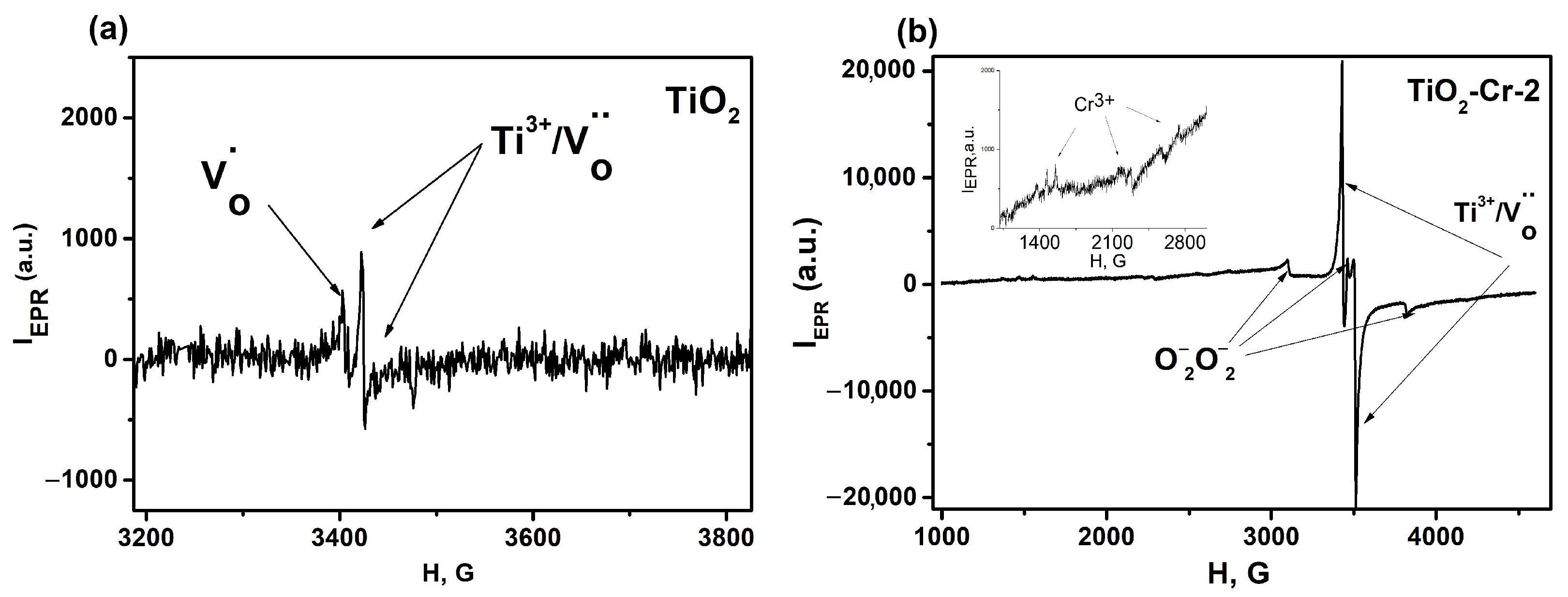 Ijms 26 00499 g014 Ijms 26 00499 g014