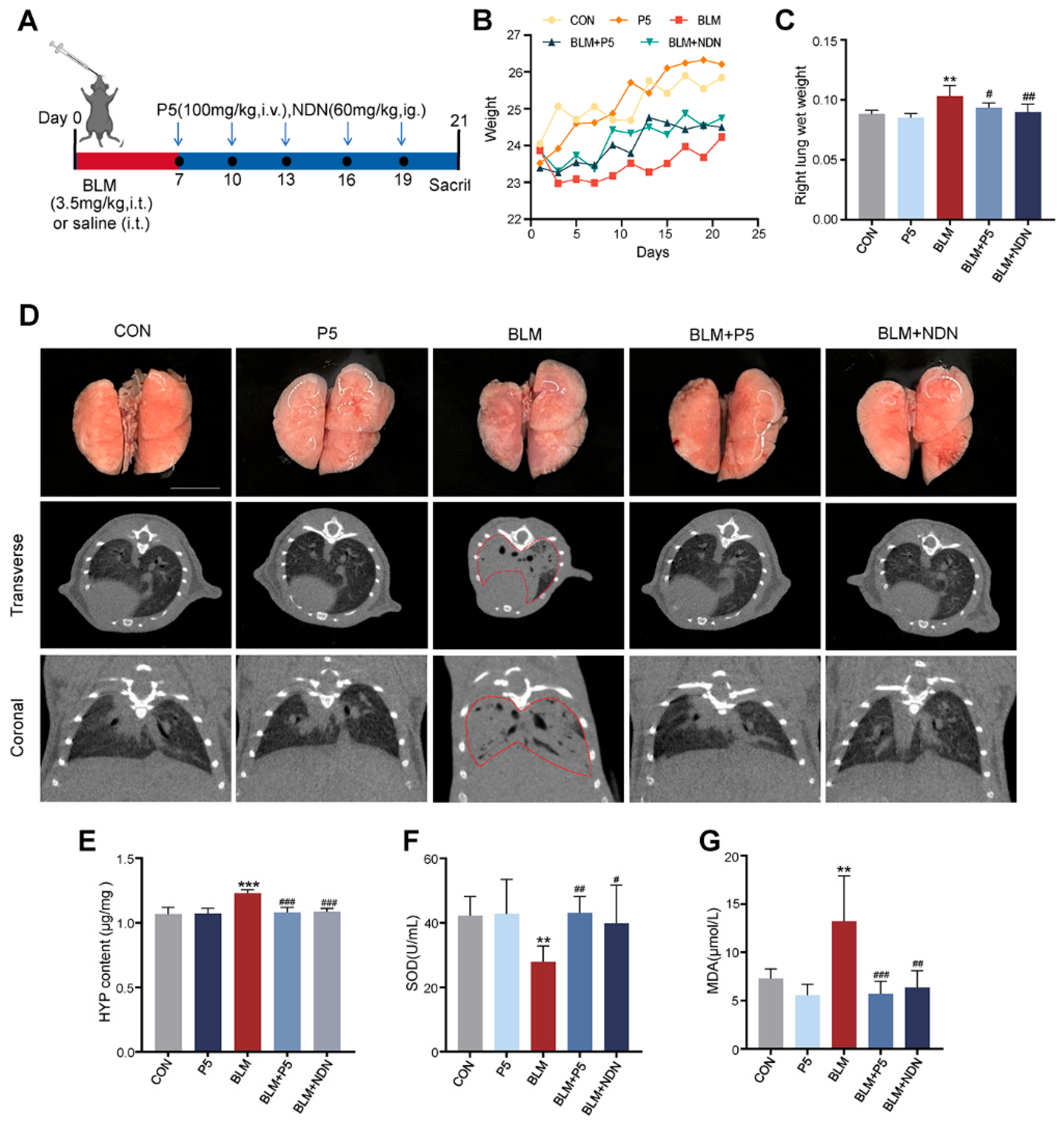 Ijms 26 00517 g001 Ijms 26 00517 g001