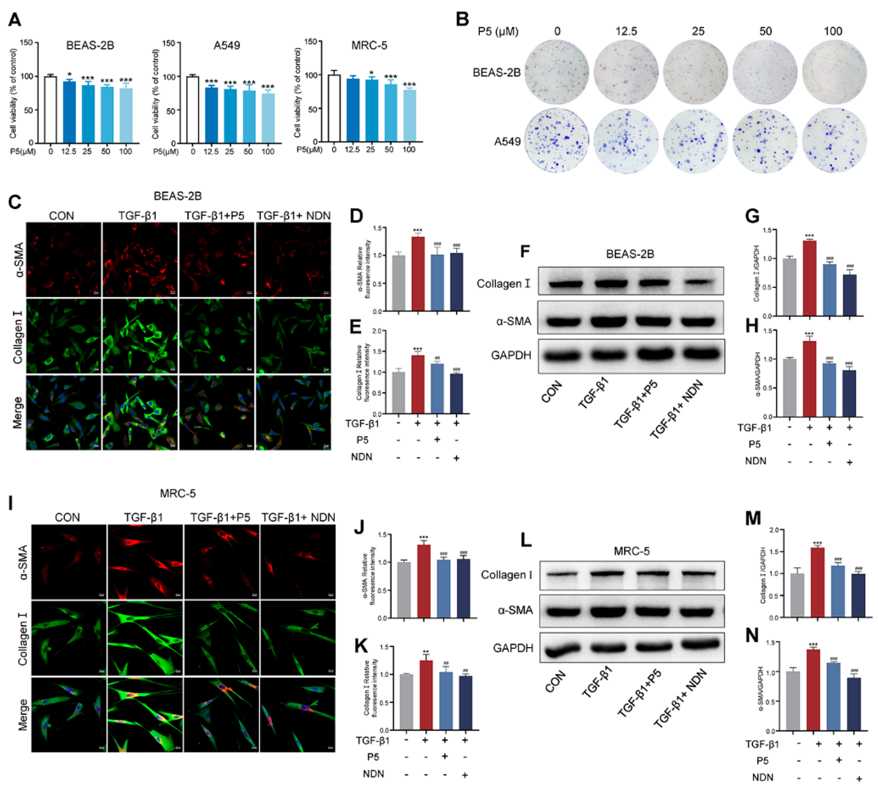 Ijms 26 00517 g003 Ijms 26 00517 g003