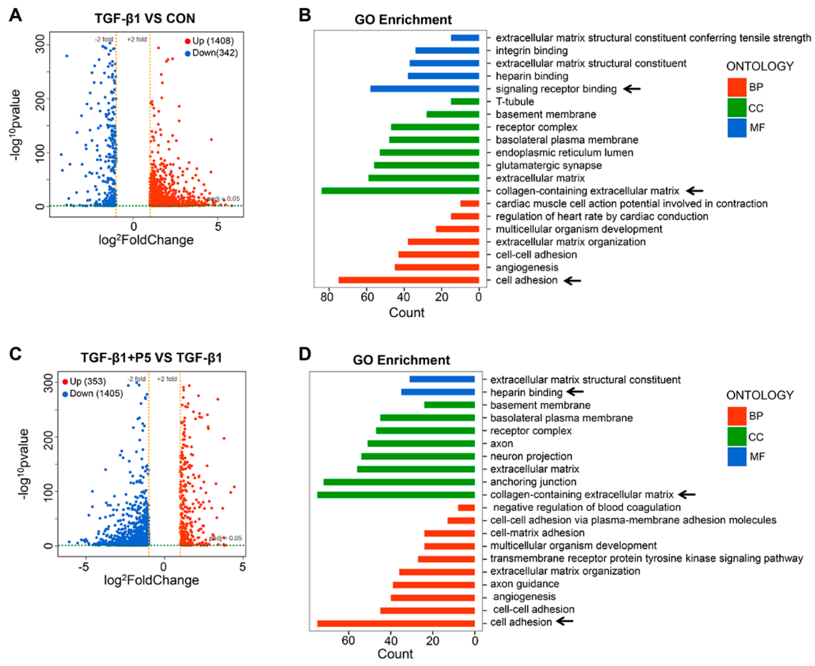 Ijms 26 00517 g004 Ijms 26 00517 g004