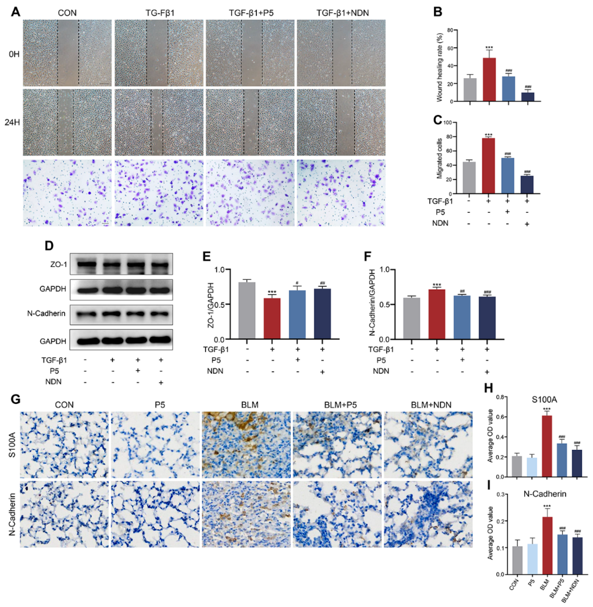 Ijms 26 00517 g005 Ijms 26 00517 g005