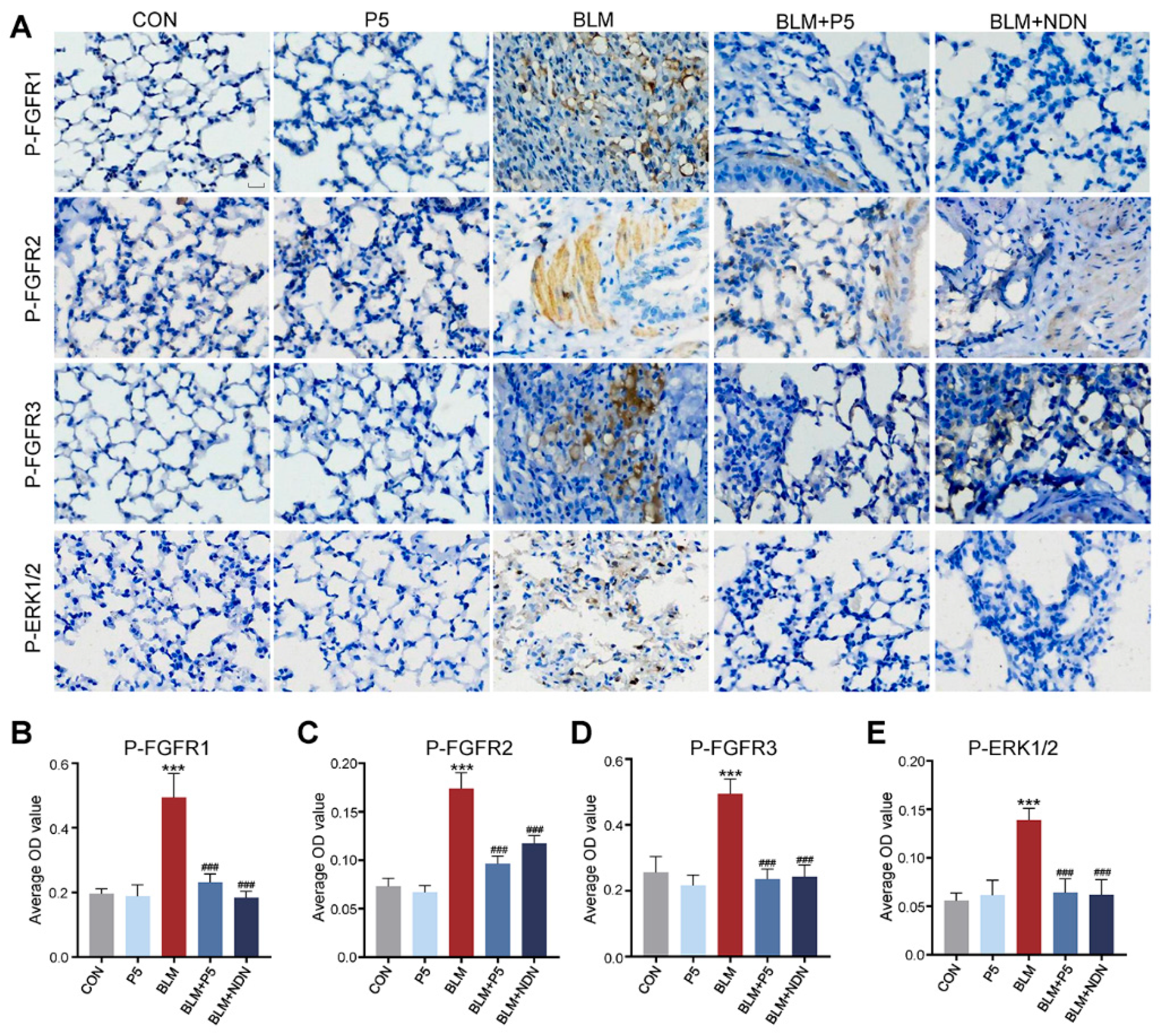 Ijms 26 00517 g007 Ijms 26 00517 g007