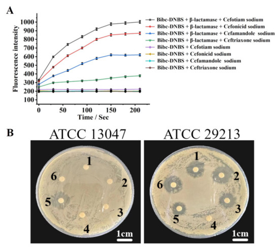 Advanced Large-Stokes-Shift Fluorescent Probe for the
