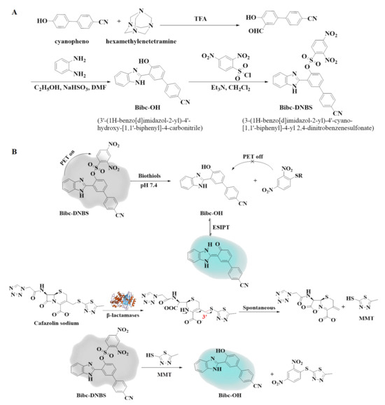 Advanced Large-Stokes-Shift Fluorescent Probe for the