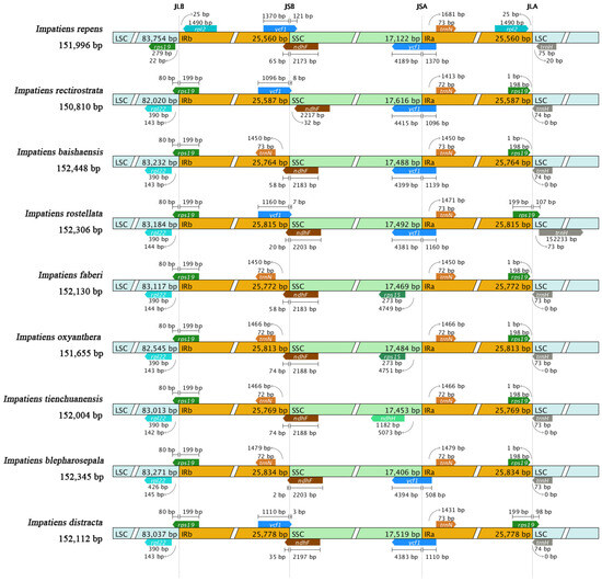 メジャー Frontiers | Microglia Polarization in Alzheimer's Disease
