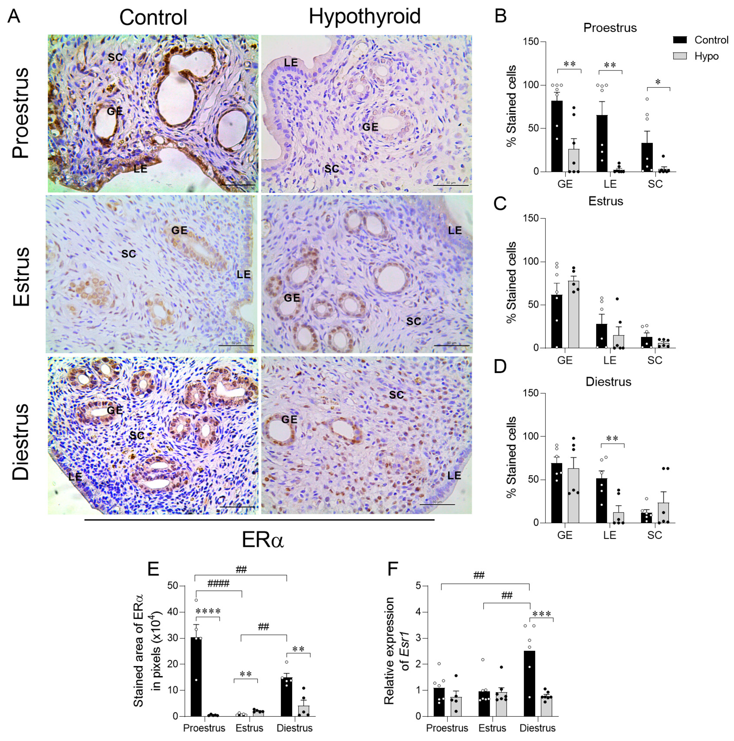 Ijms 26 00543 g003 Ijms 26 00543 g003