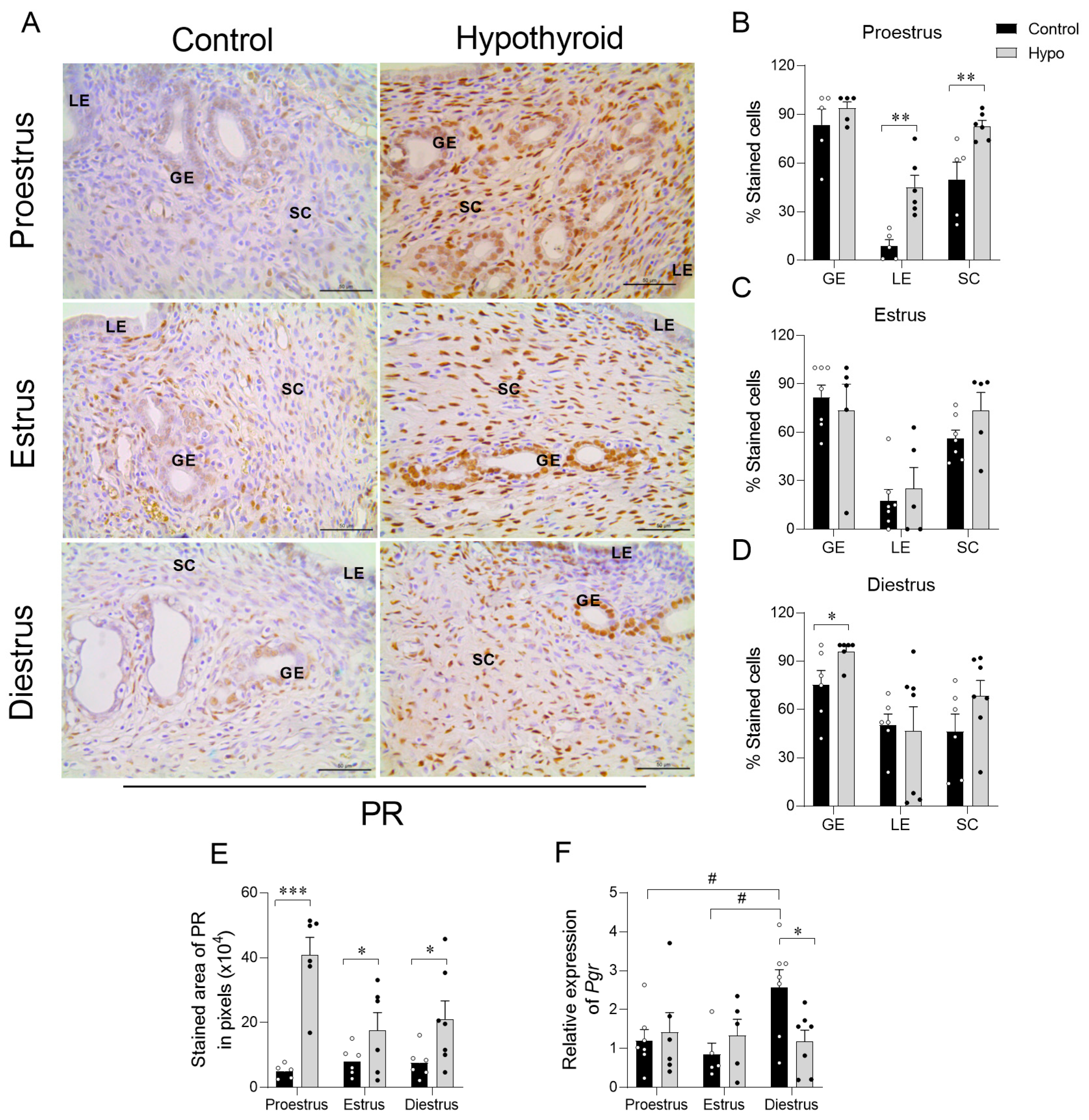 Ijms 26 00543 g004 Ijms 26 00543 g004