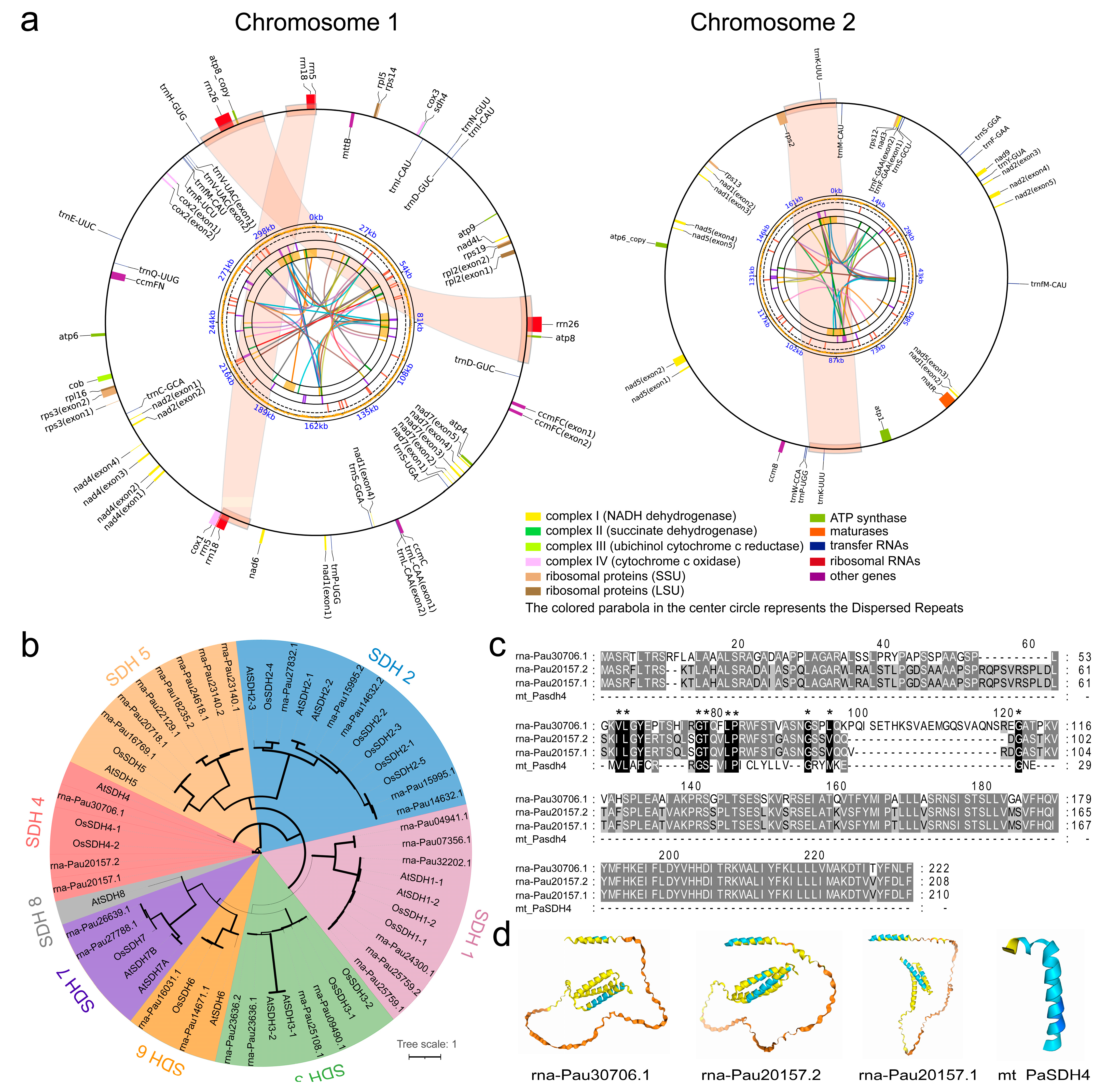 Ijms 26 00546 g002 Ijms 26 00546 g002