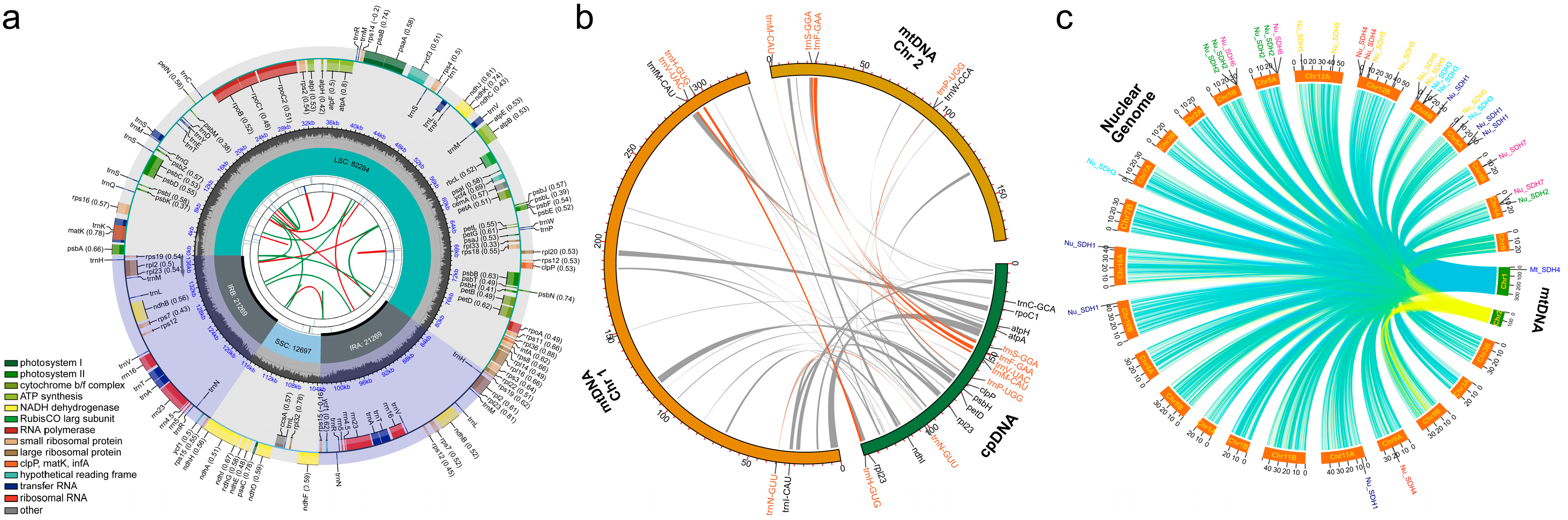 Ijms 26 00546 g006 Ijms 26 00546 g006