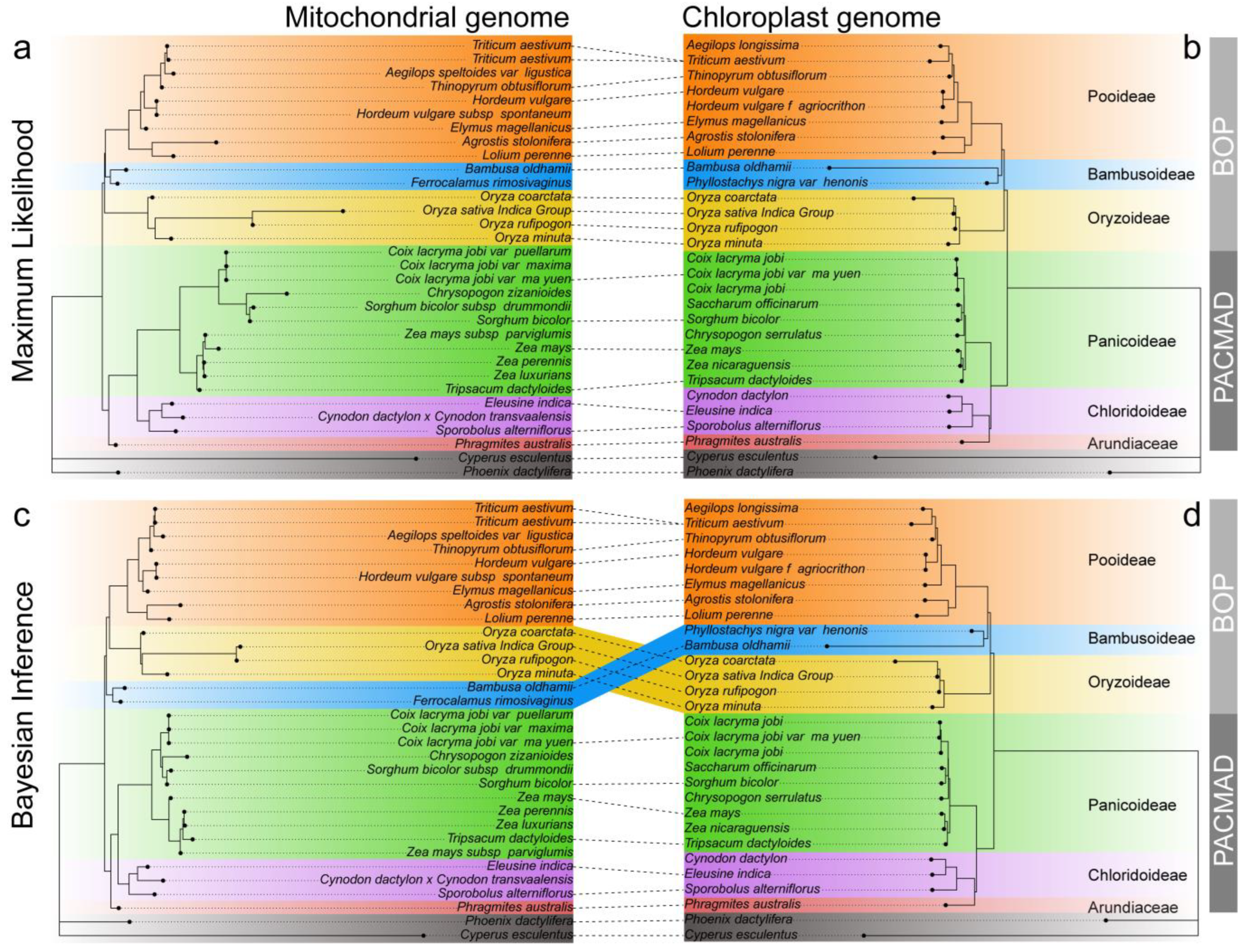 Ijms 26 00546 g009 Ijms 26 00546 g009