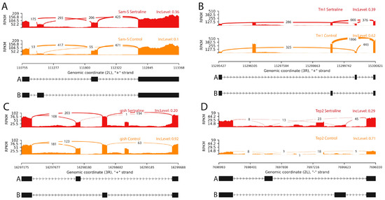 Impact of Larval Sertraline Exposure on Alternative Splicing in Neural ...